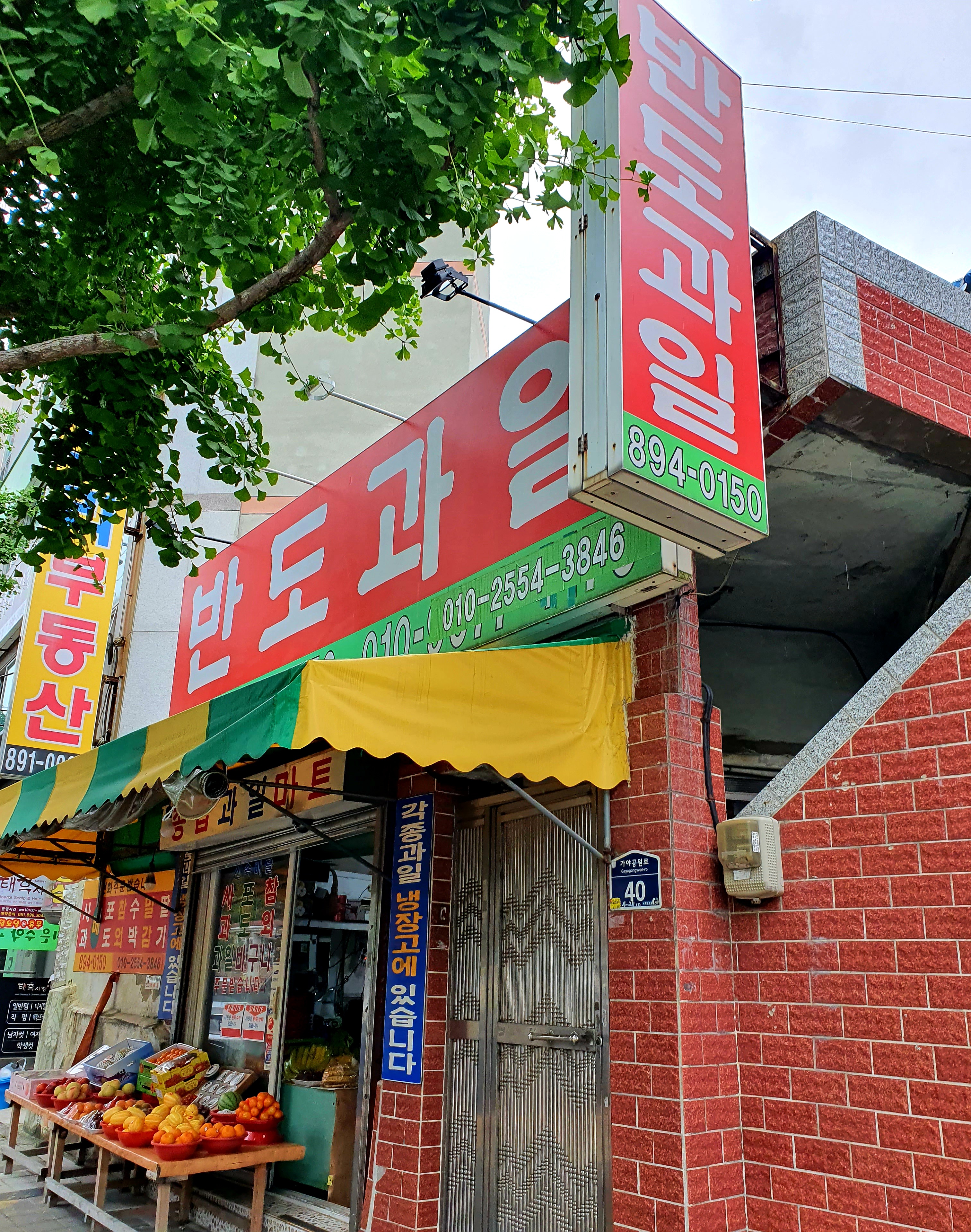 반도과일