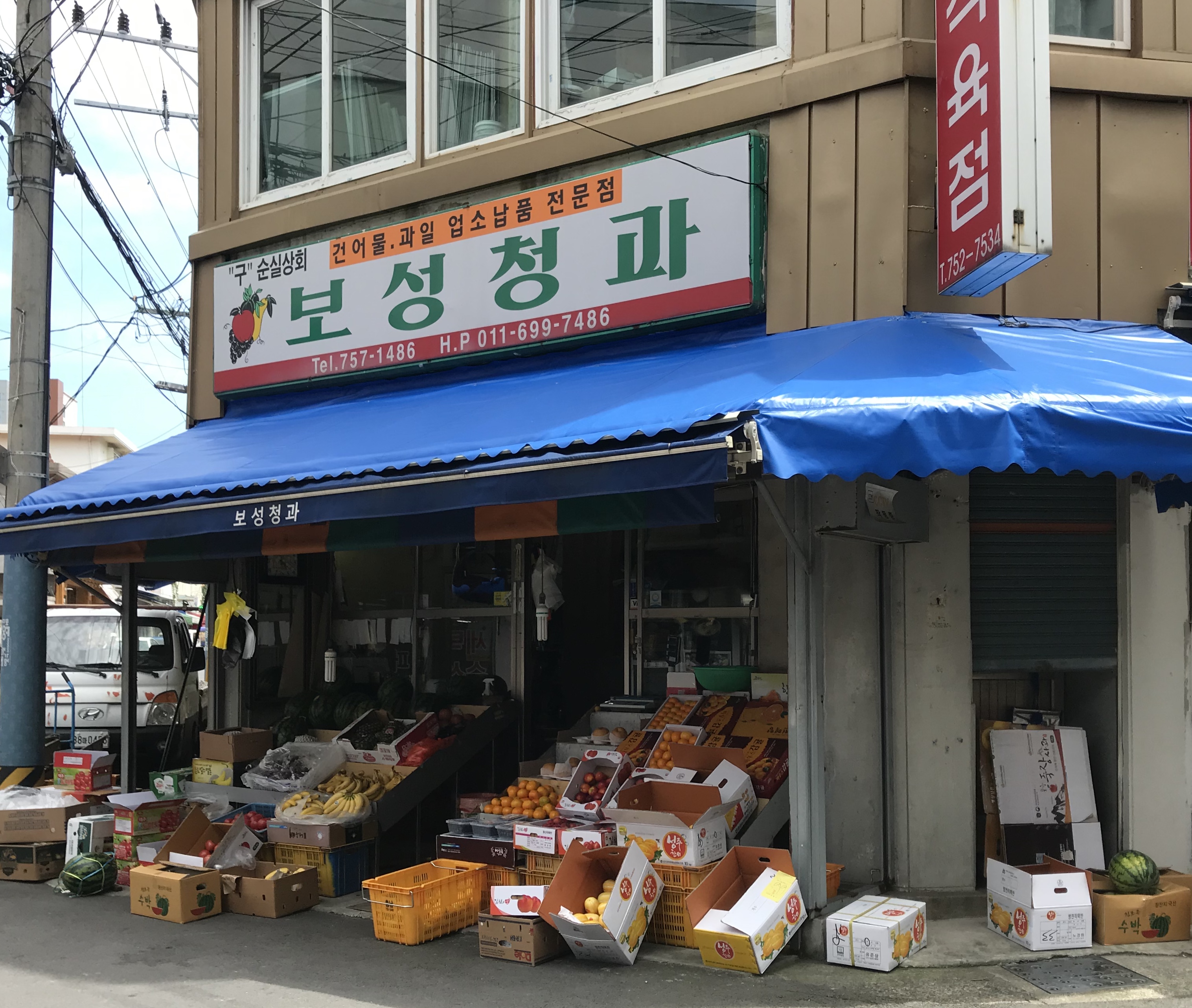 보성청과