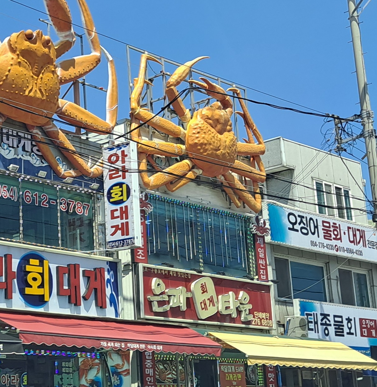 은파회대게타운