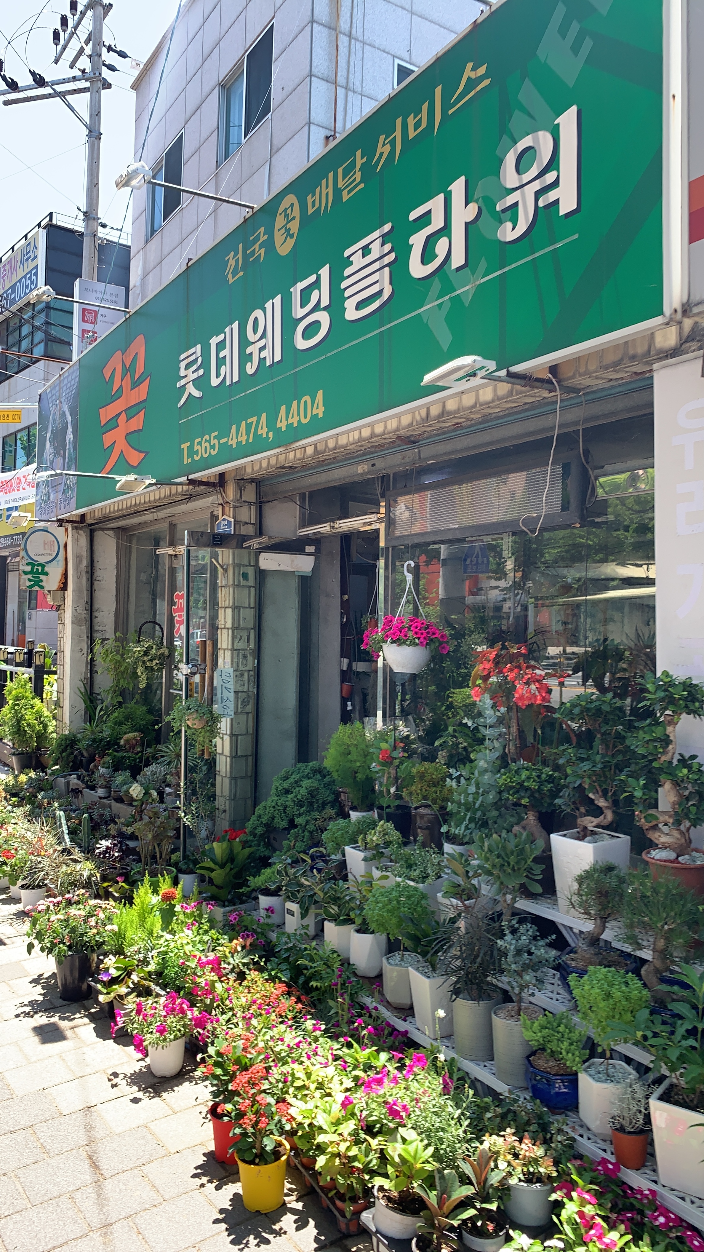 롯데웨딩플라워