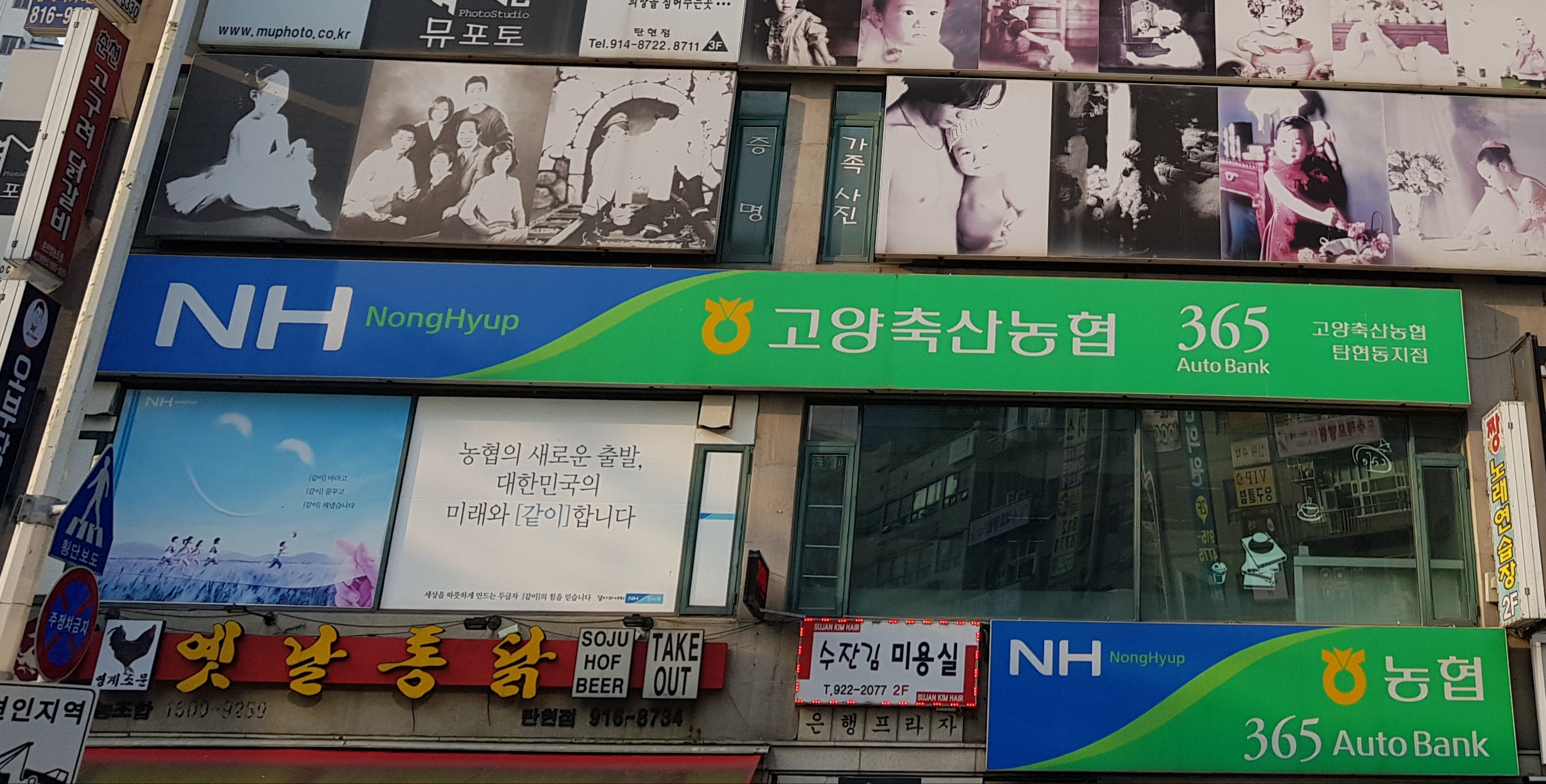 고양축산농협 탄현동지점