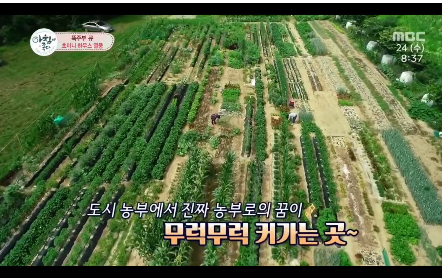 산현농장 3