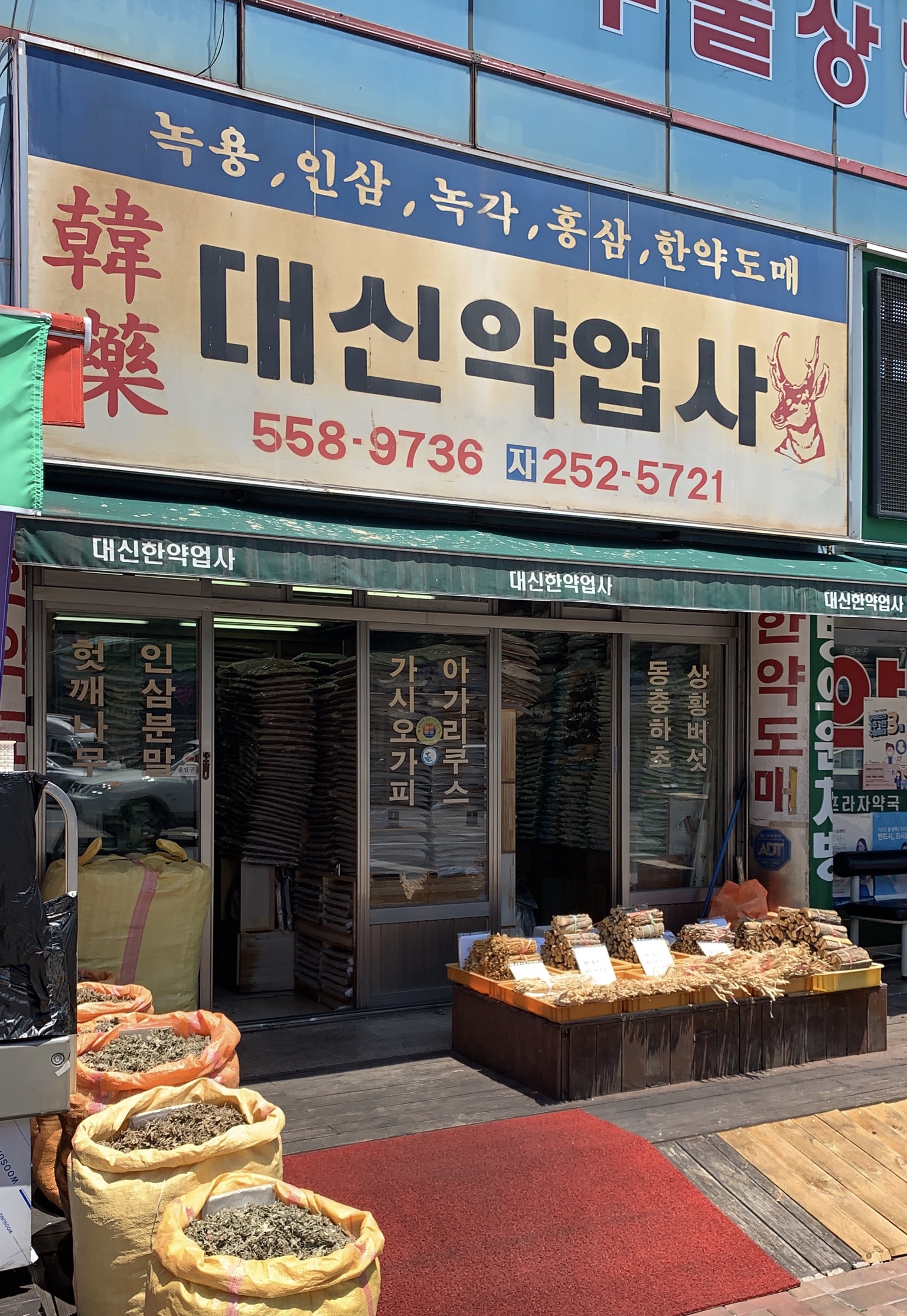 대신약업사