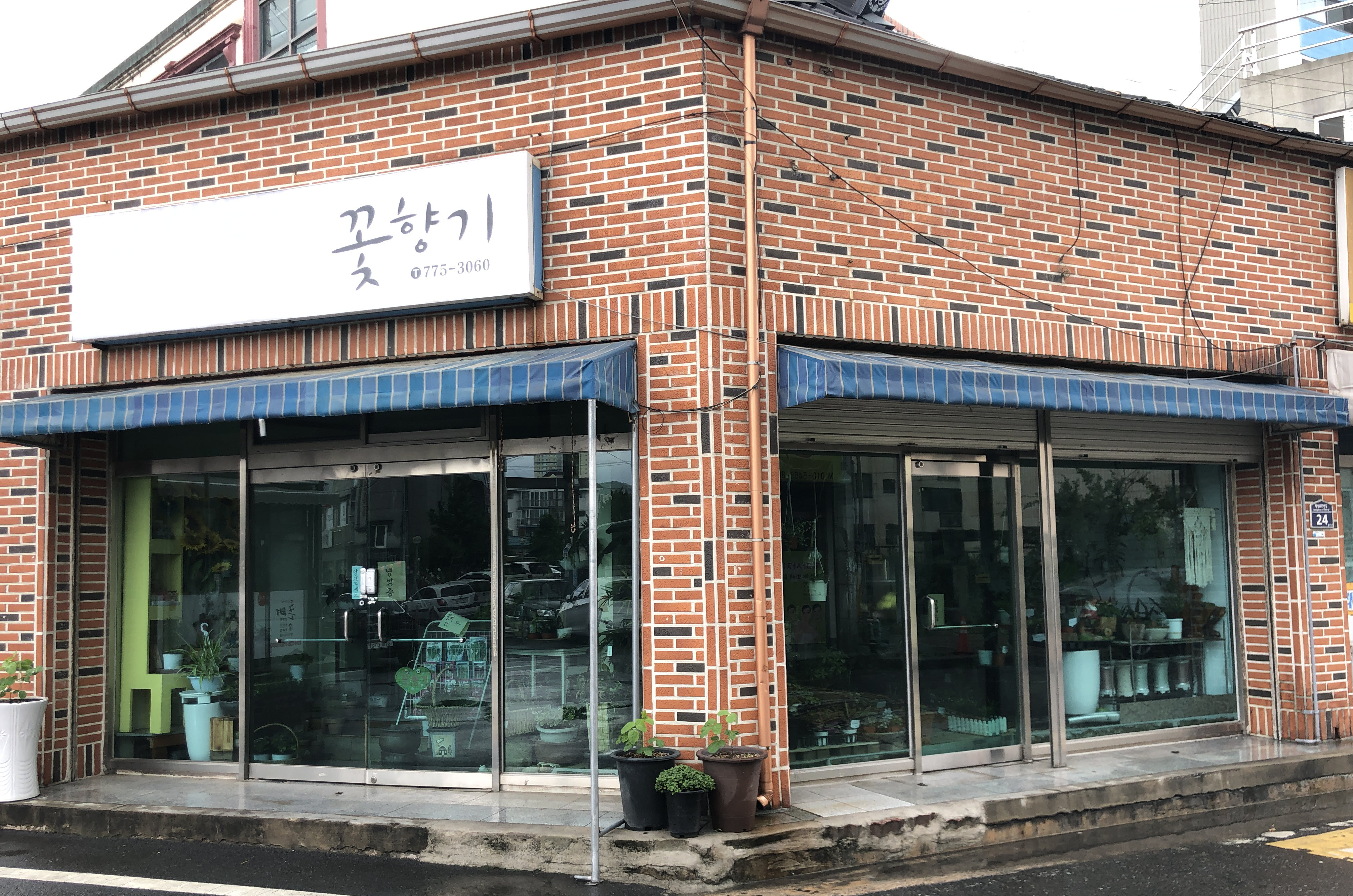꽃향기