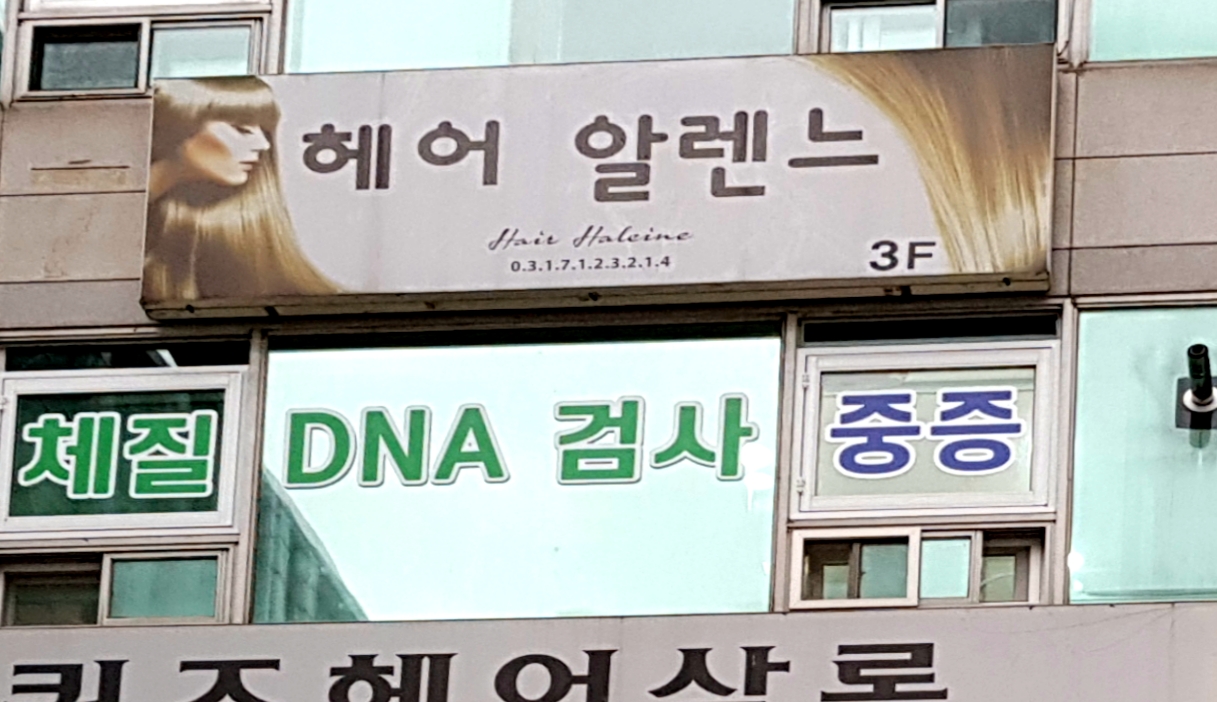 헤어알렌느
