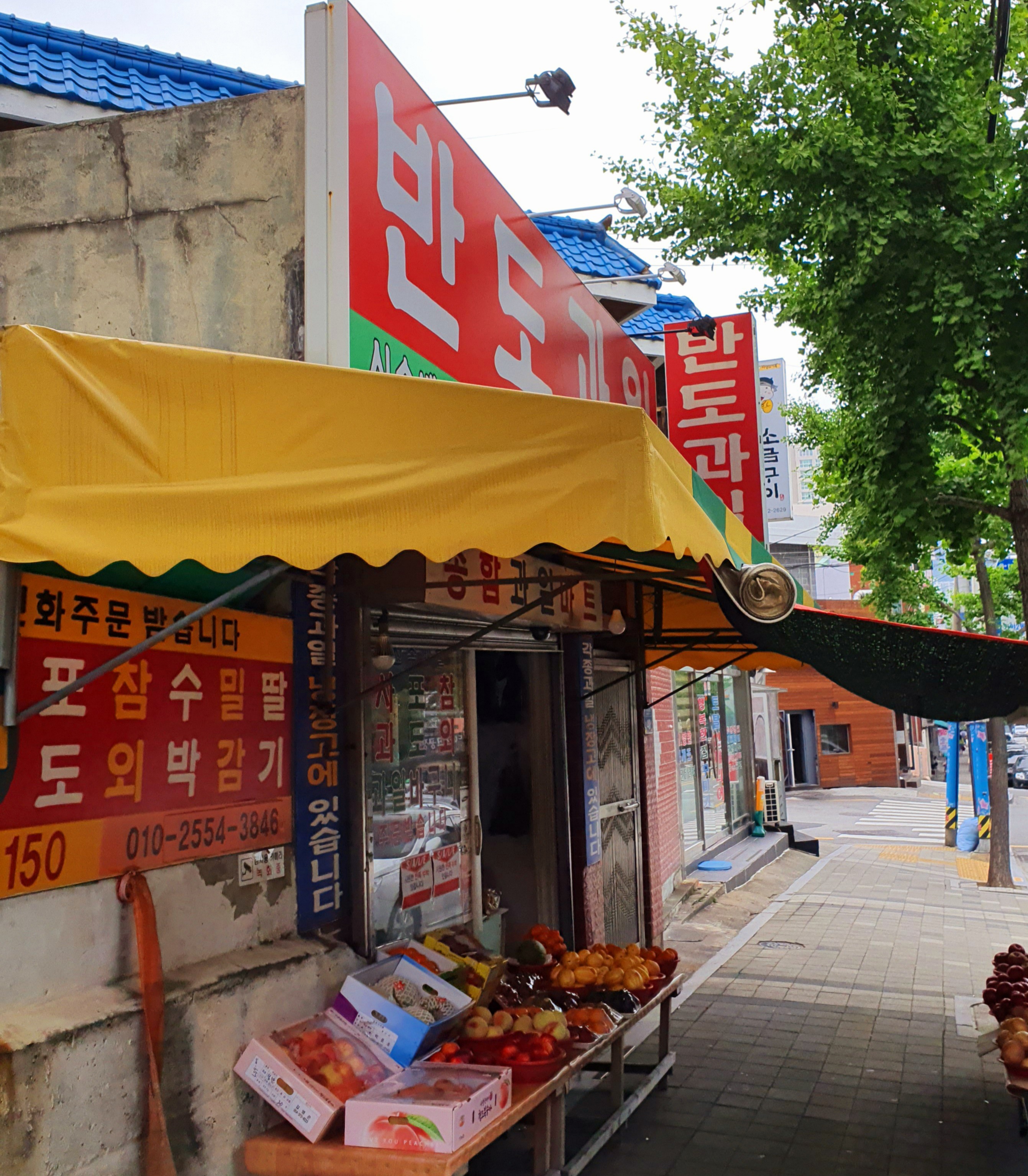 반도과일