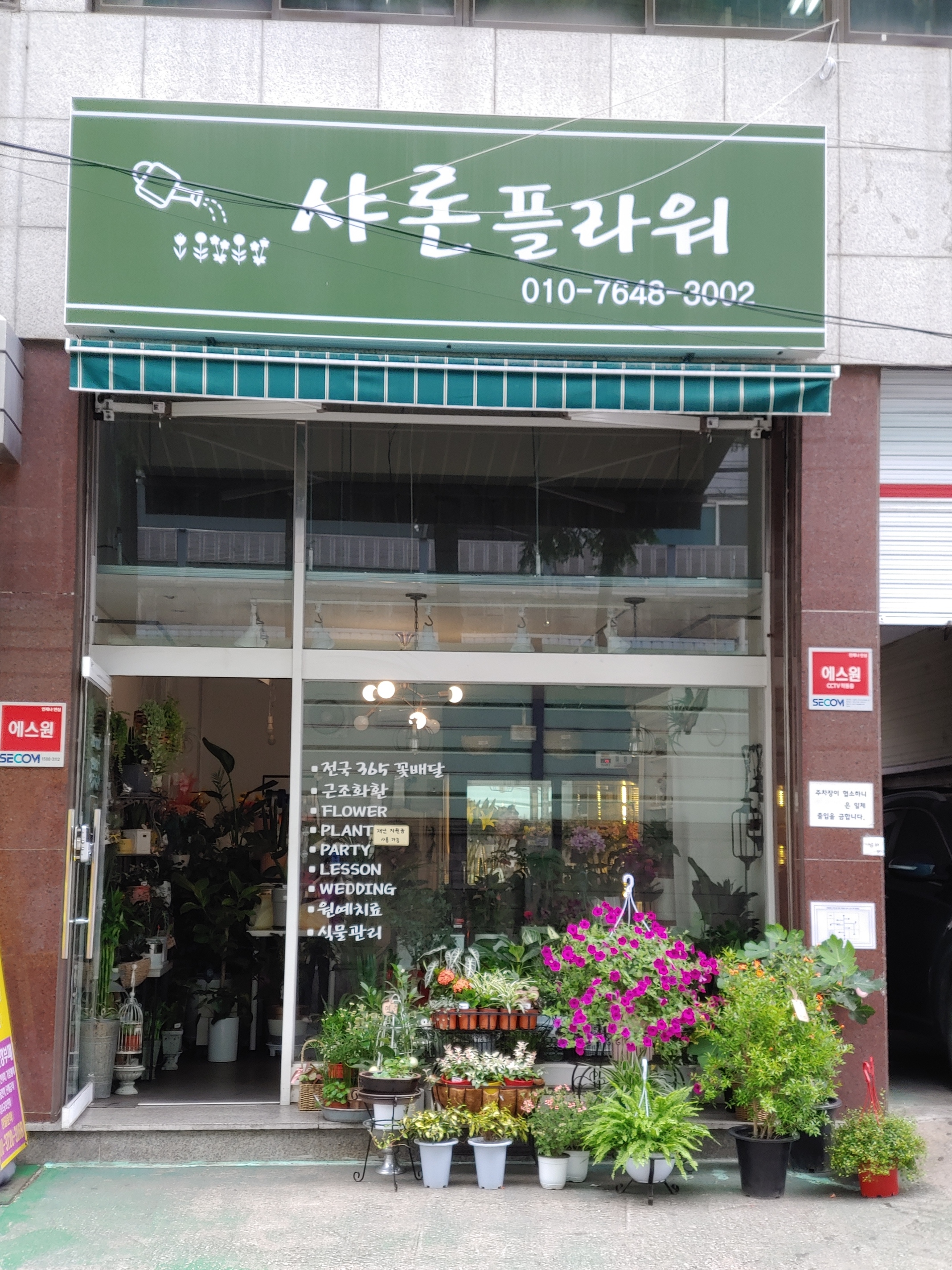 샤론플라워