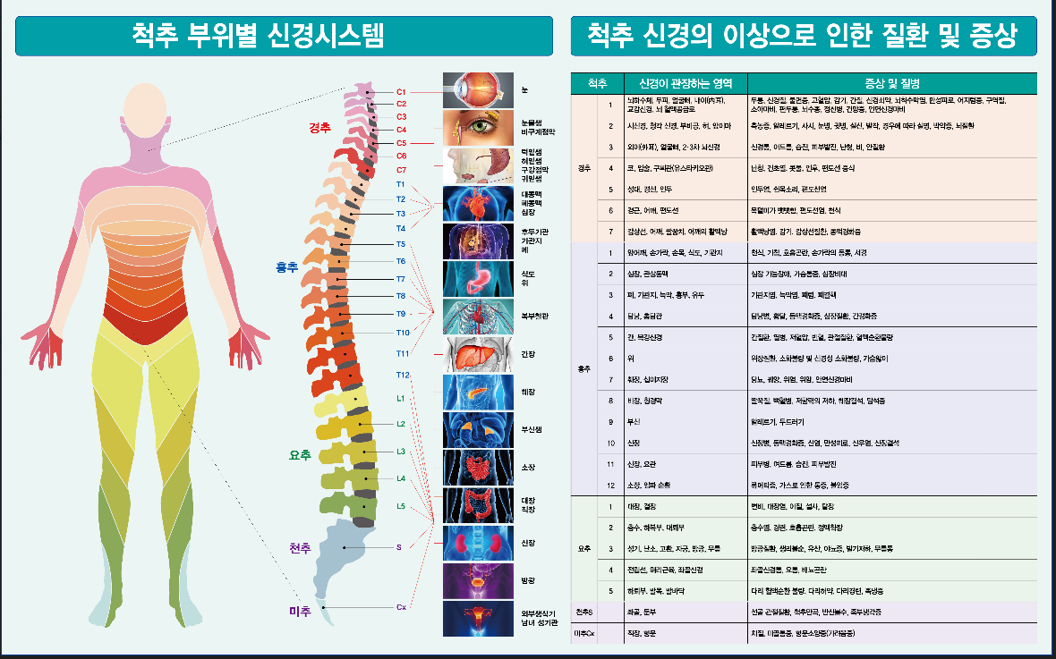 썬힐링다올케어 photo 2