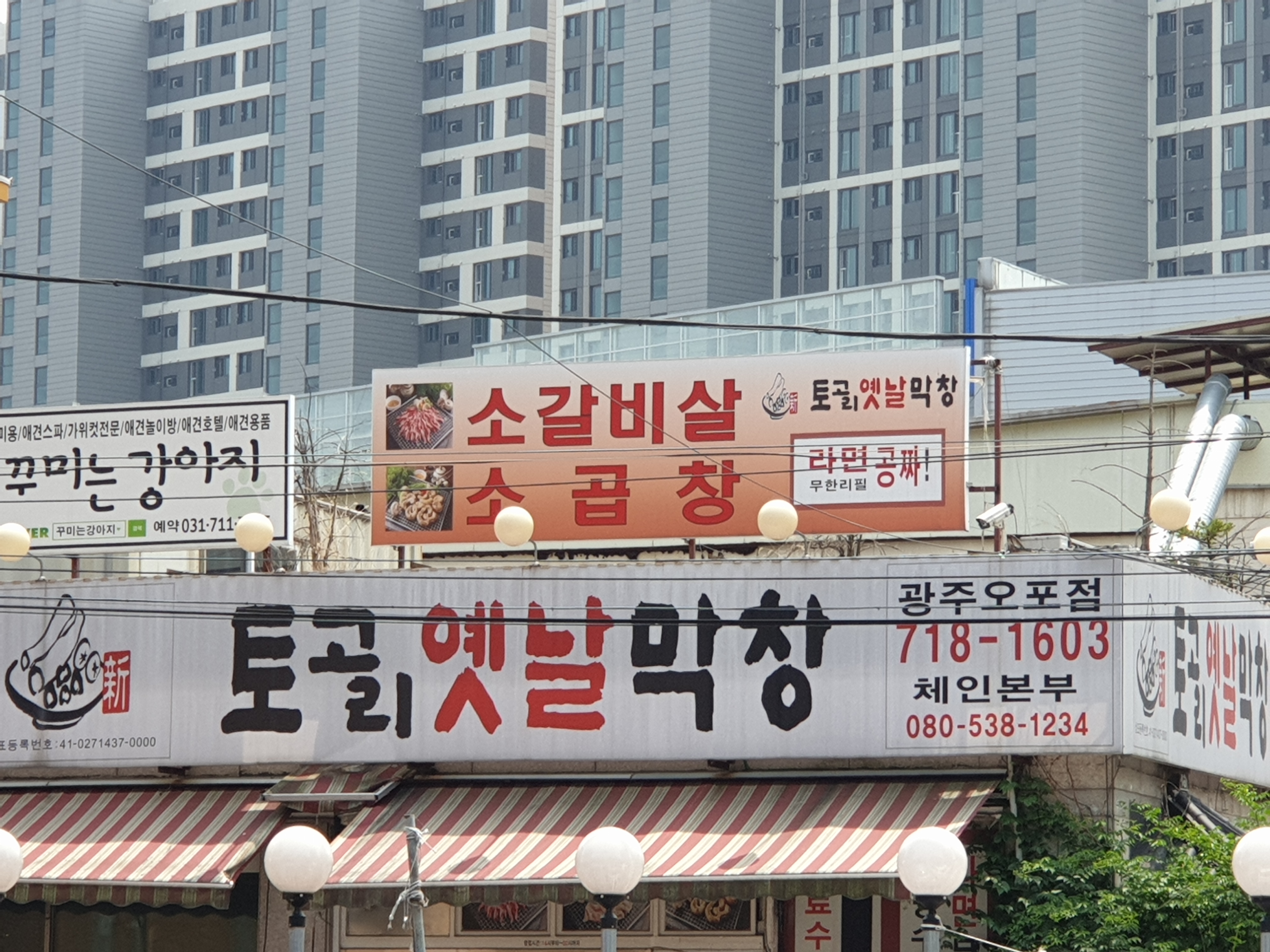 토고리옛날막창 광주오포점