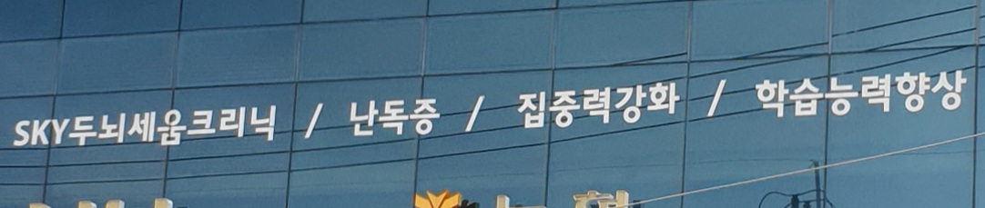 SKY두뇌세움크리닉