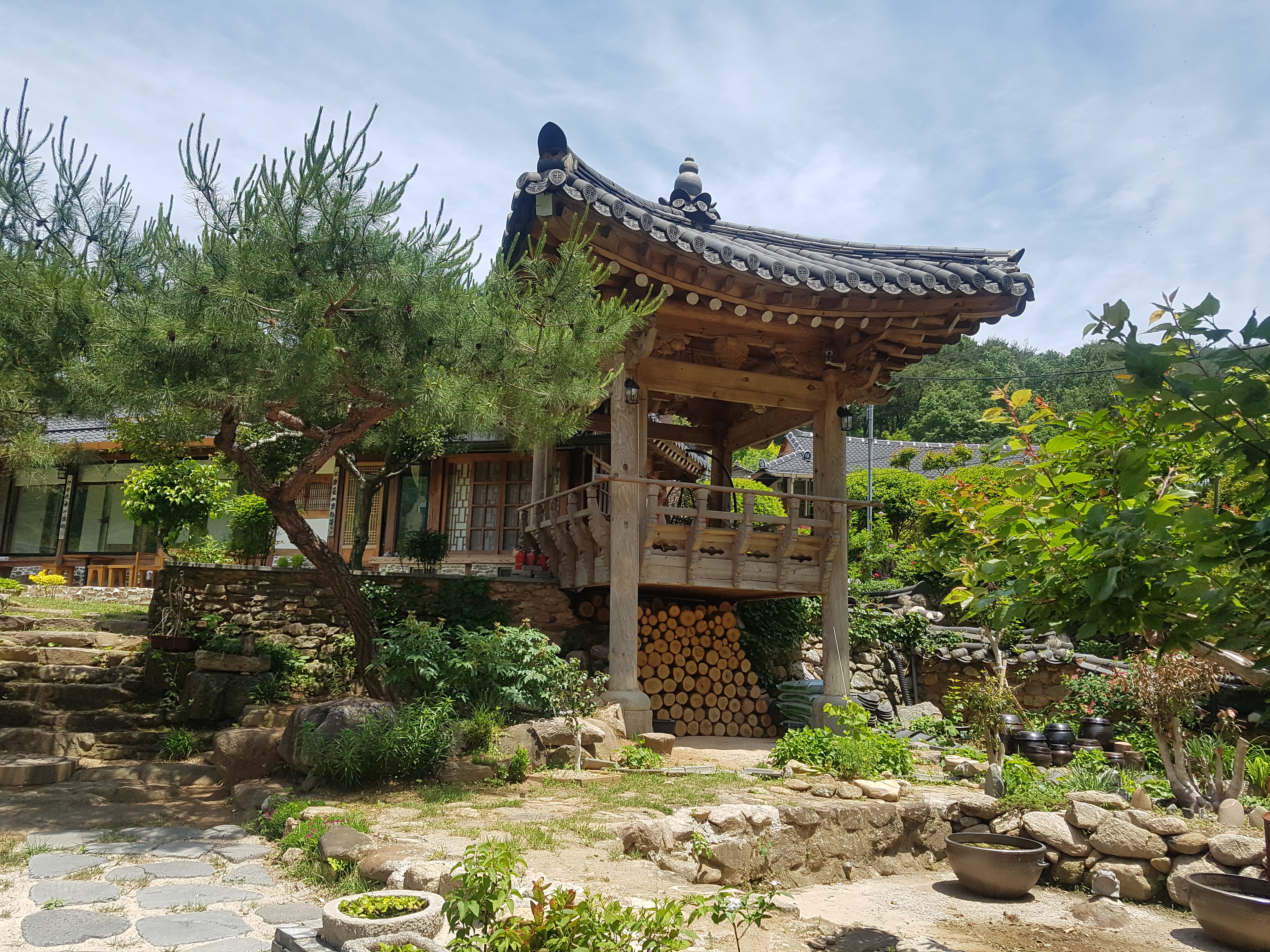 도고피아 3