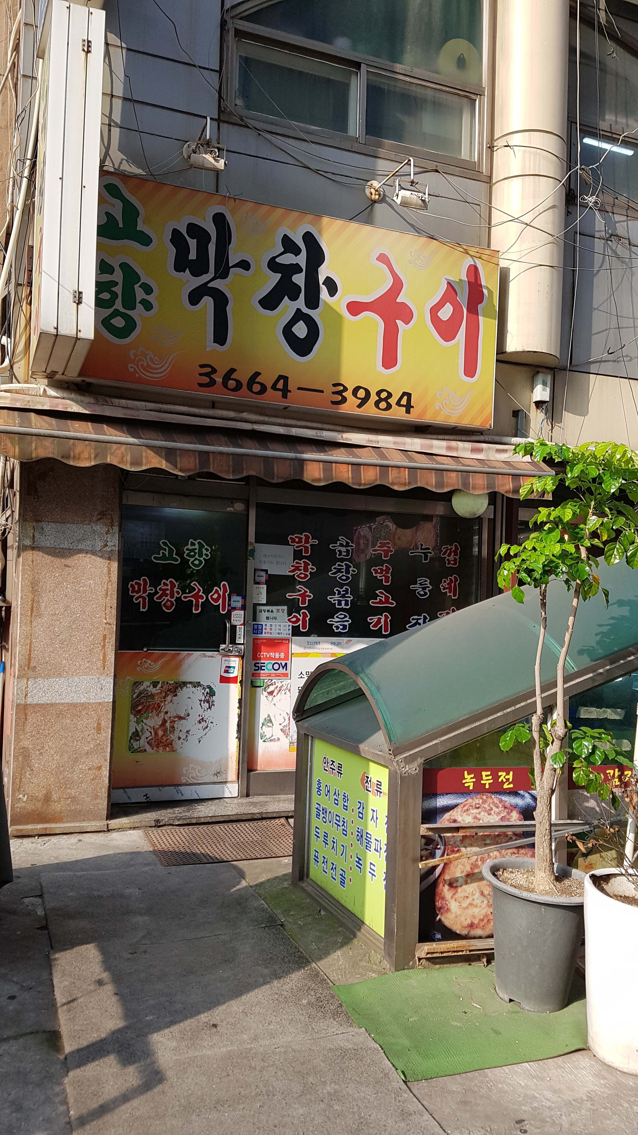 고향막창구이