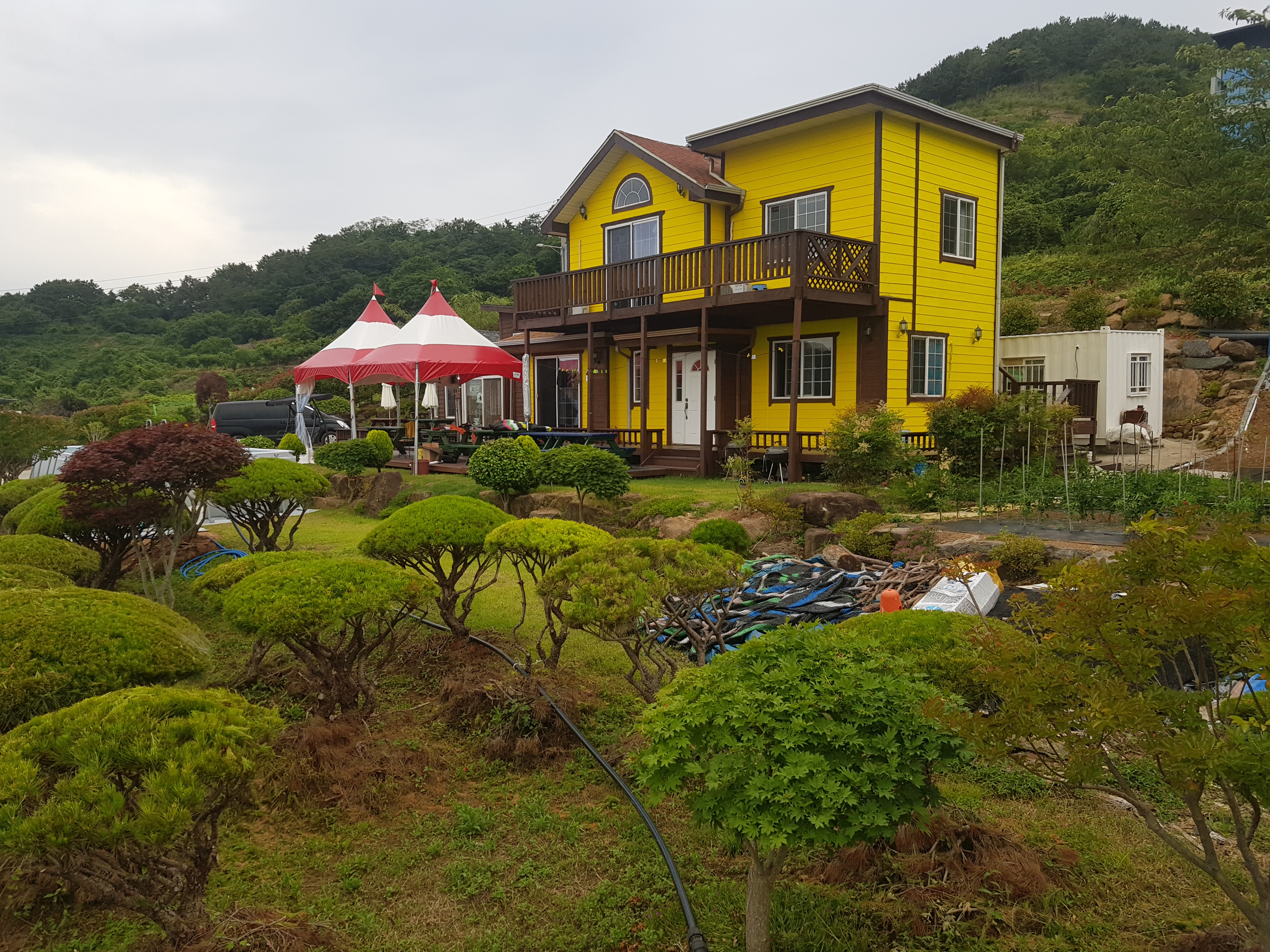 숲속소나무펜션 테라록사카페