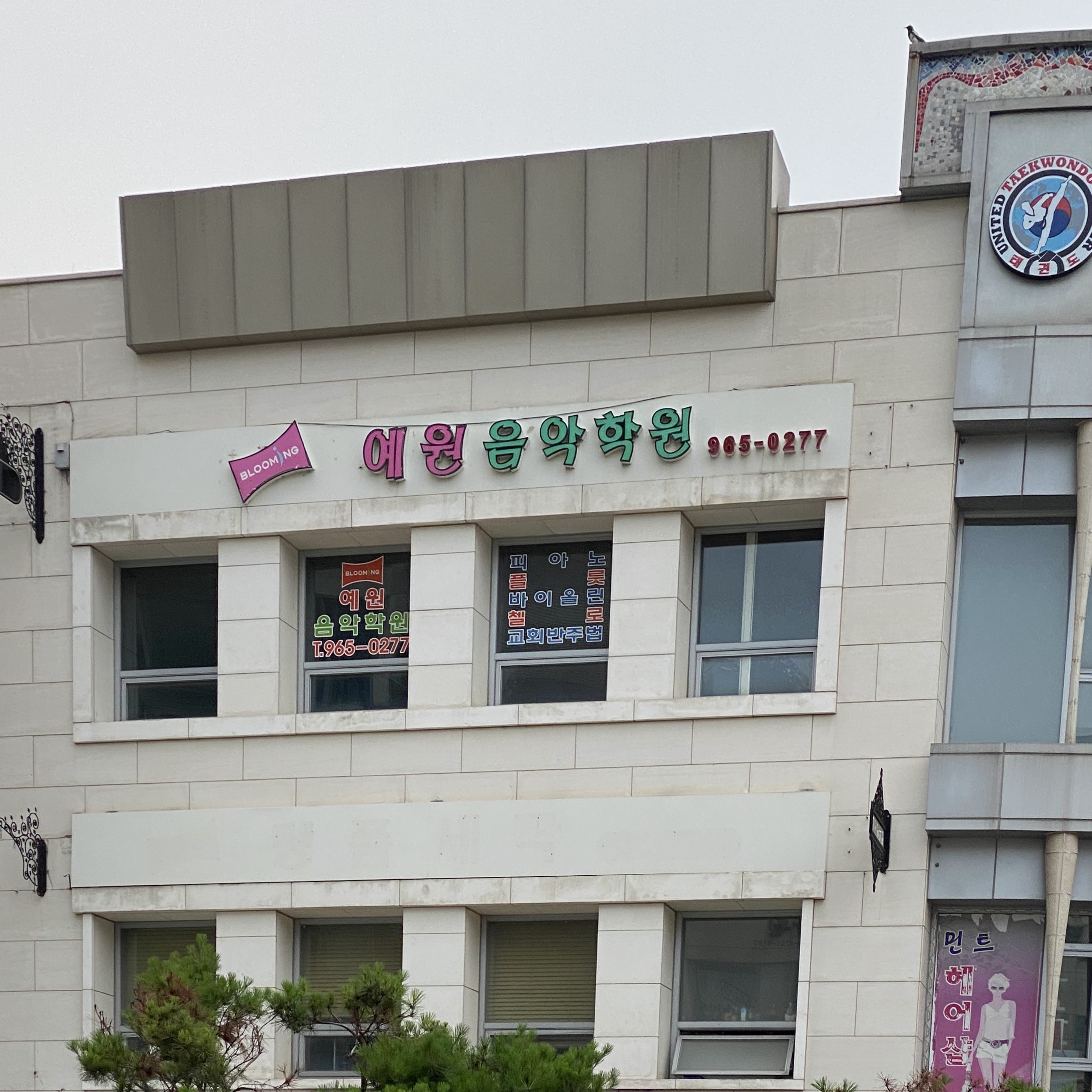 블루밍예원음악학원