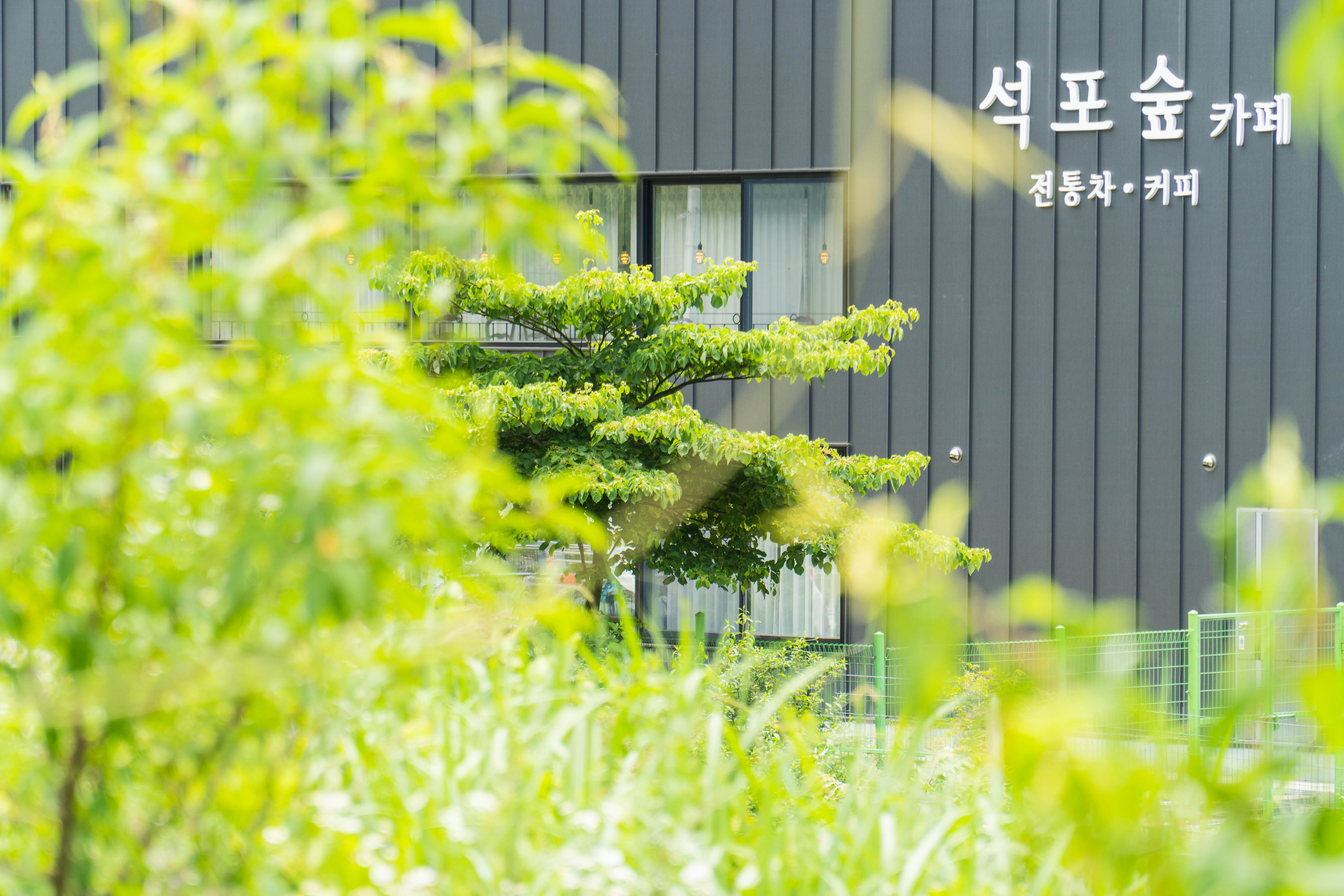 석포숲 카페