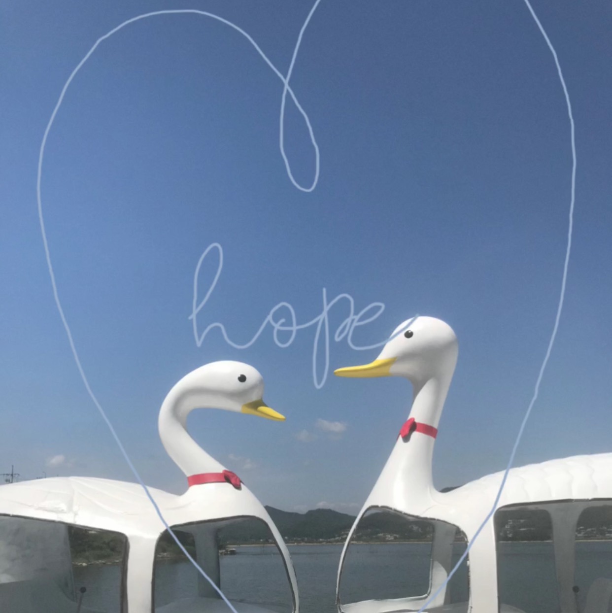 강화원조칼국수