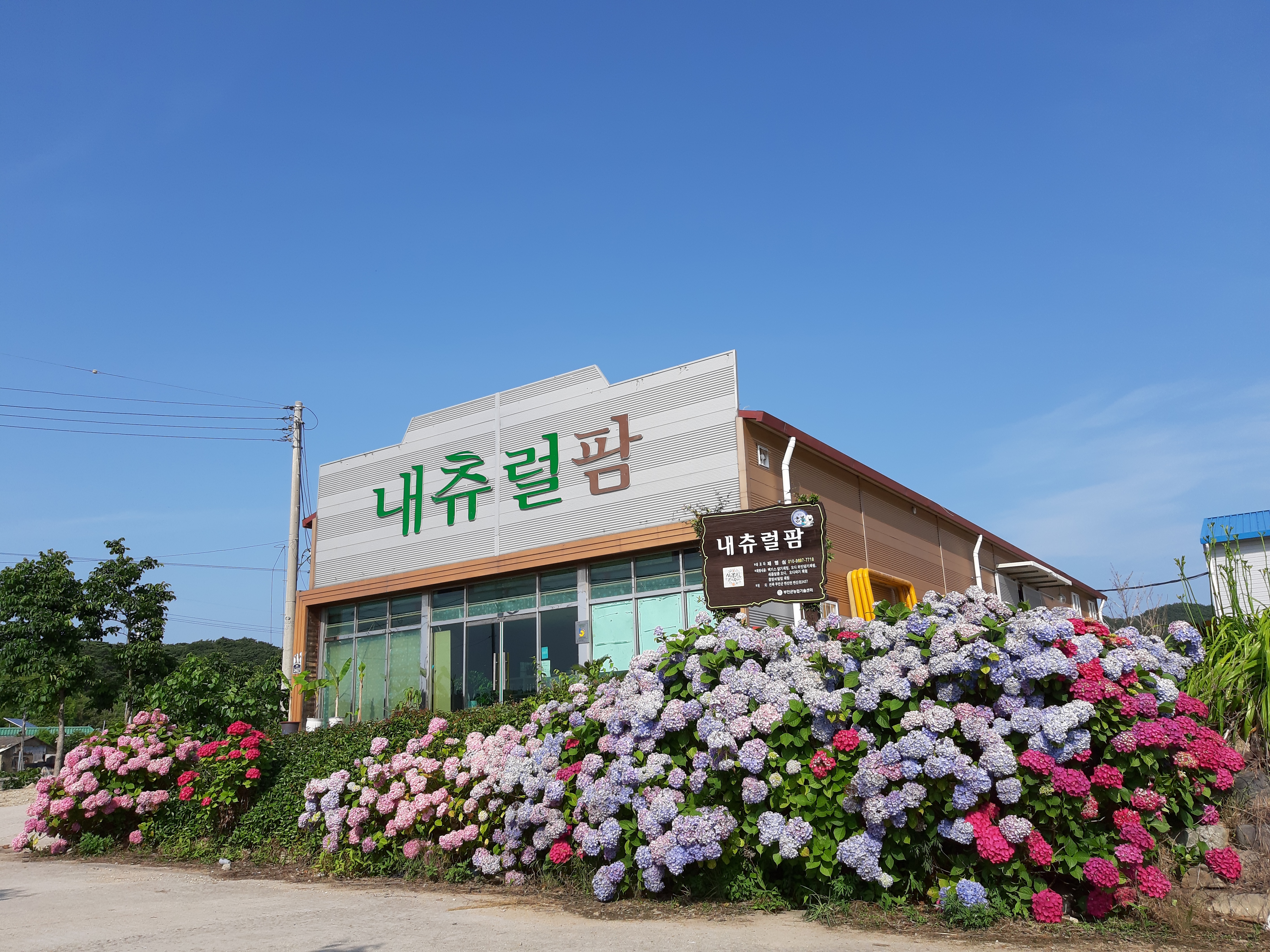 내츄럴팜