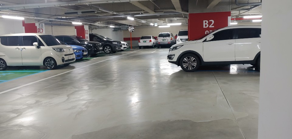 제나라인 대표 이미지