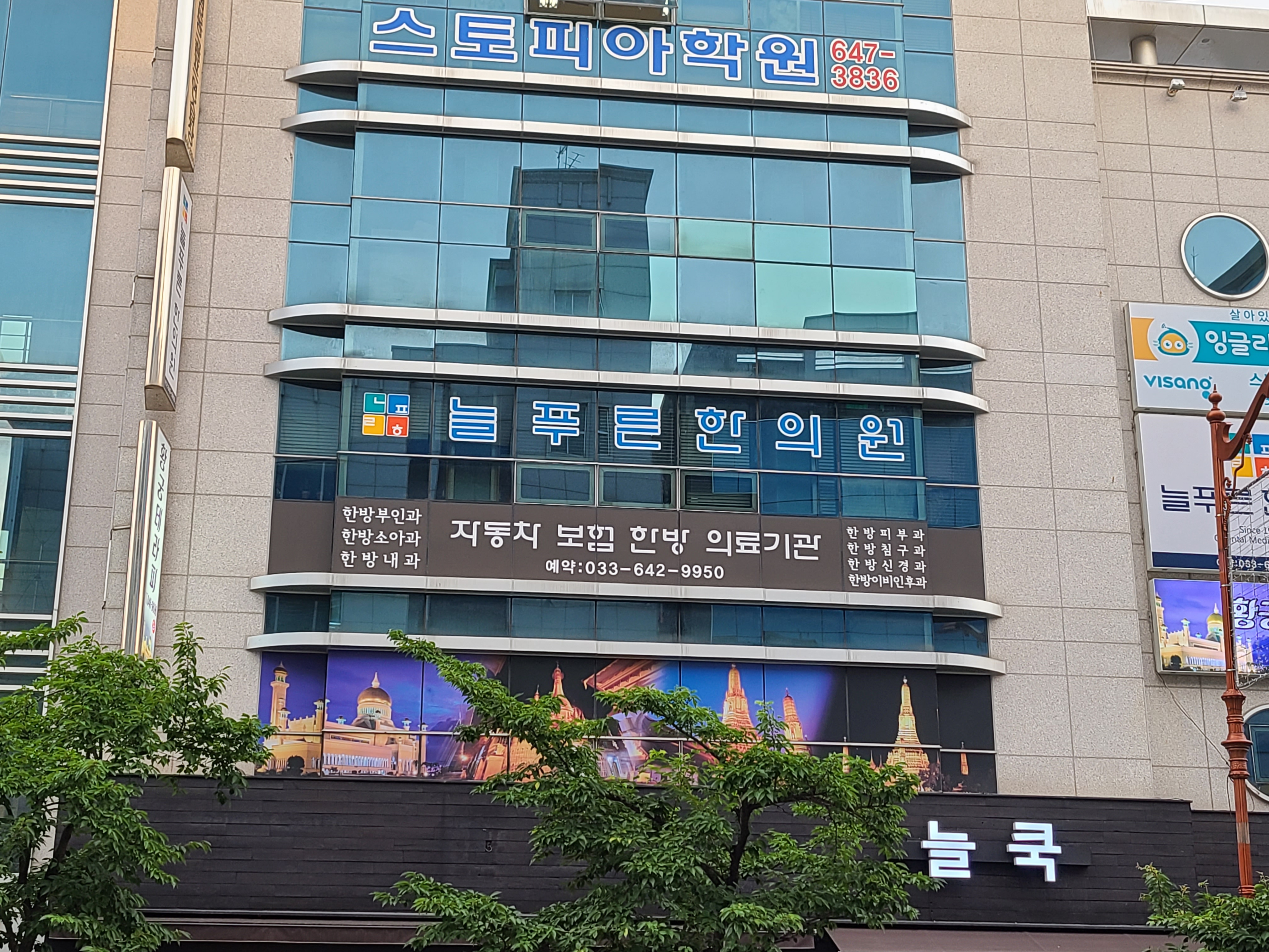 늘푸른한의원
