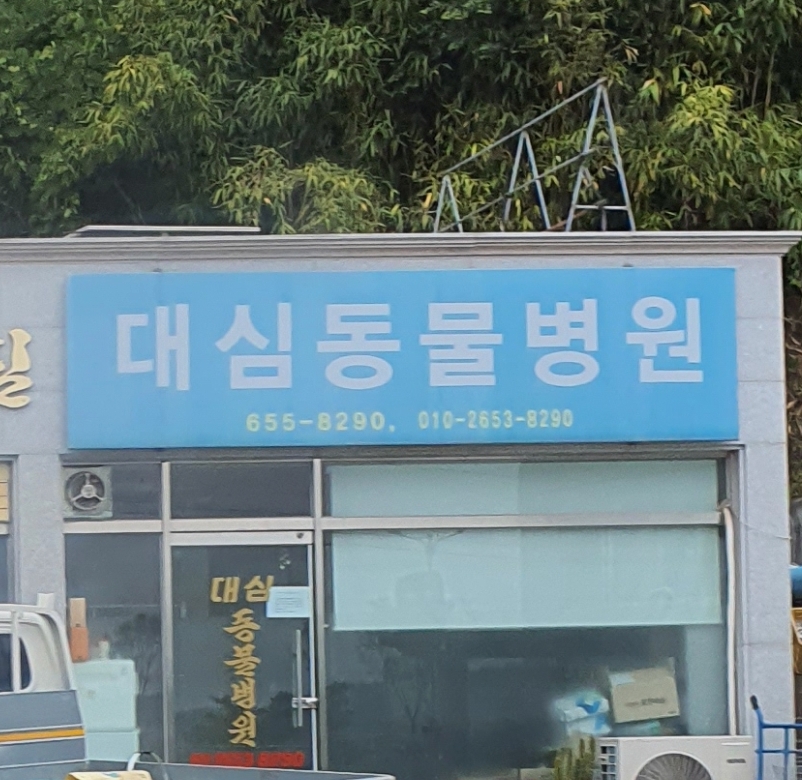 대심동물병원