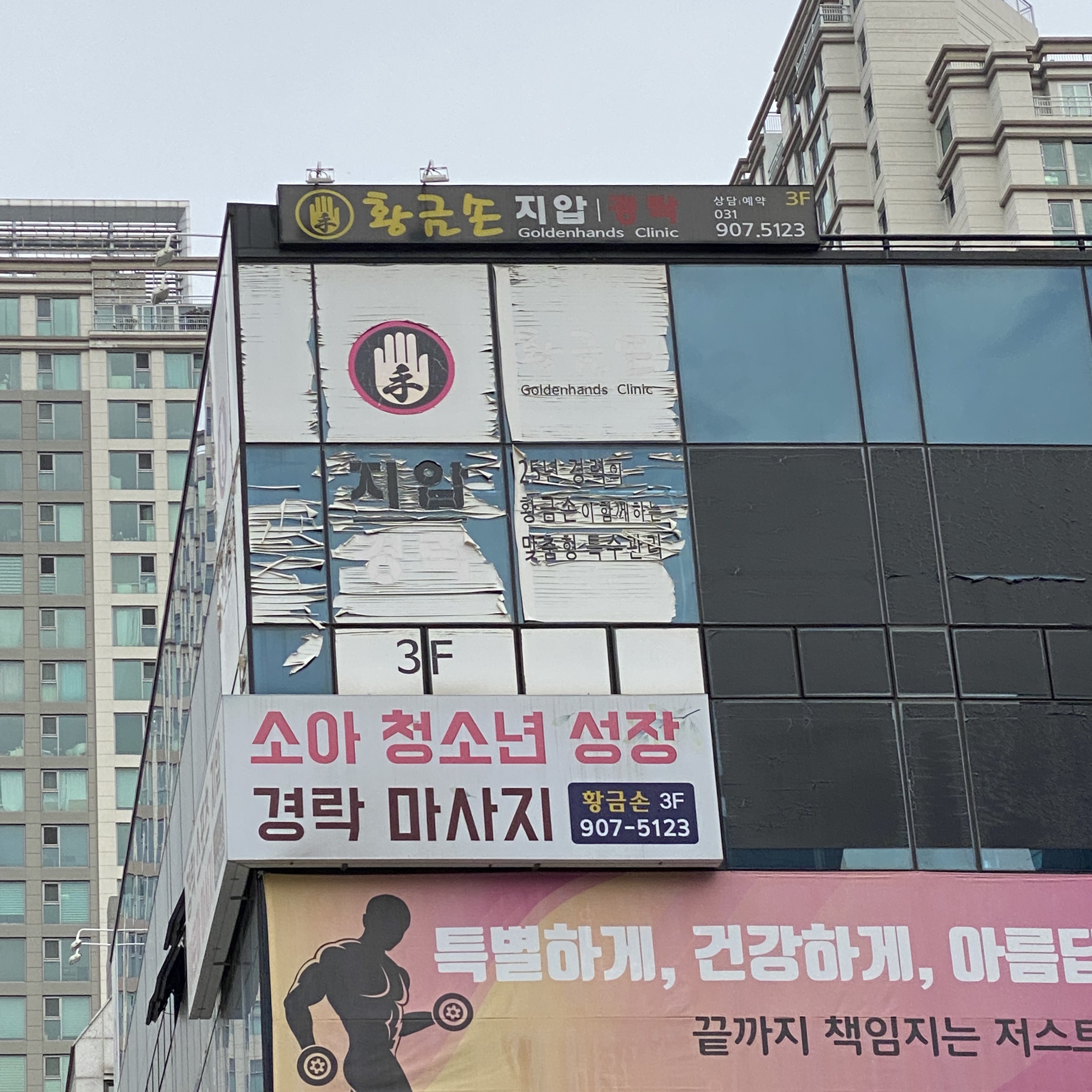 황금손 photo 6
