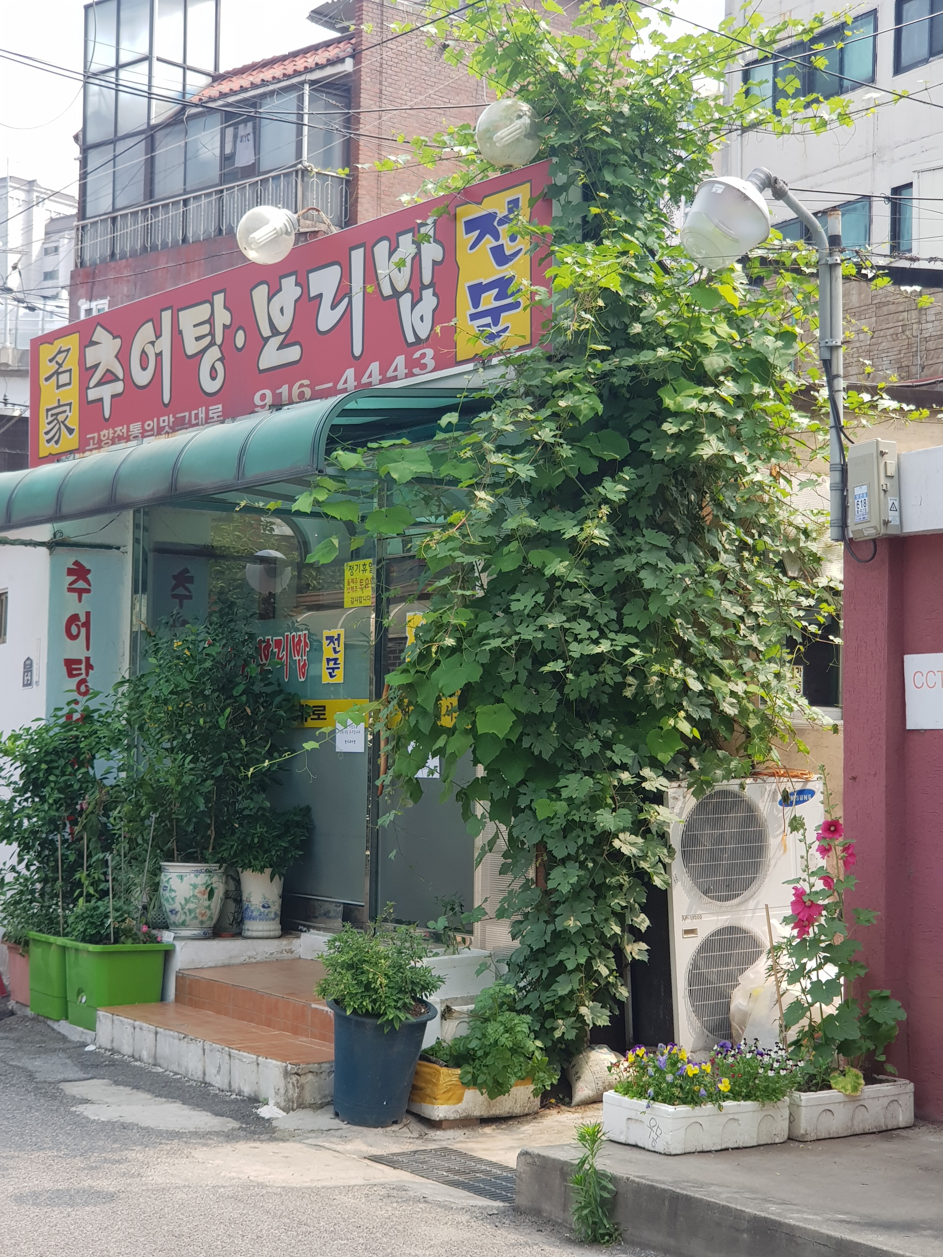 명가추어탕보리밥