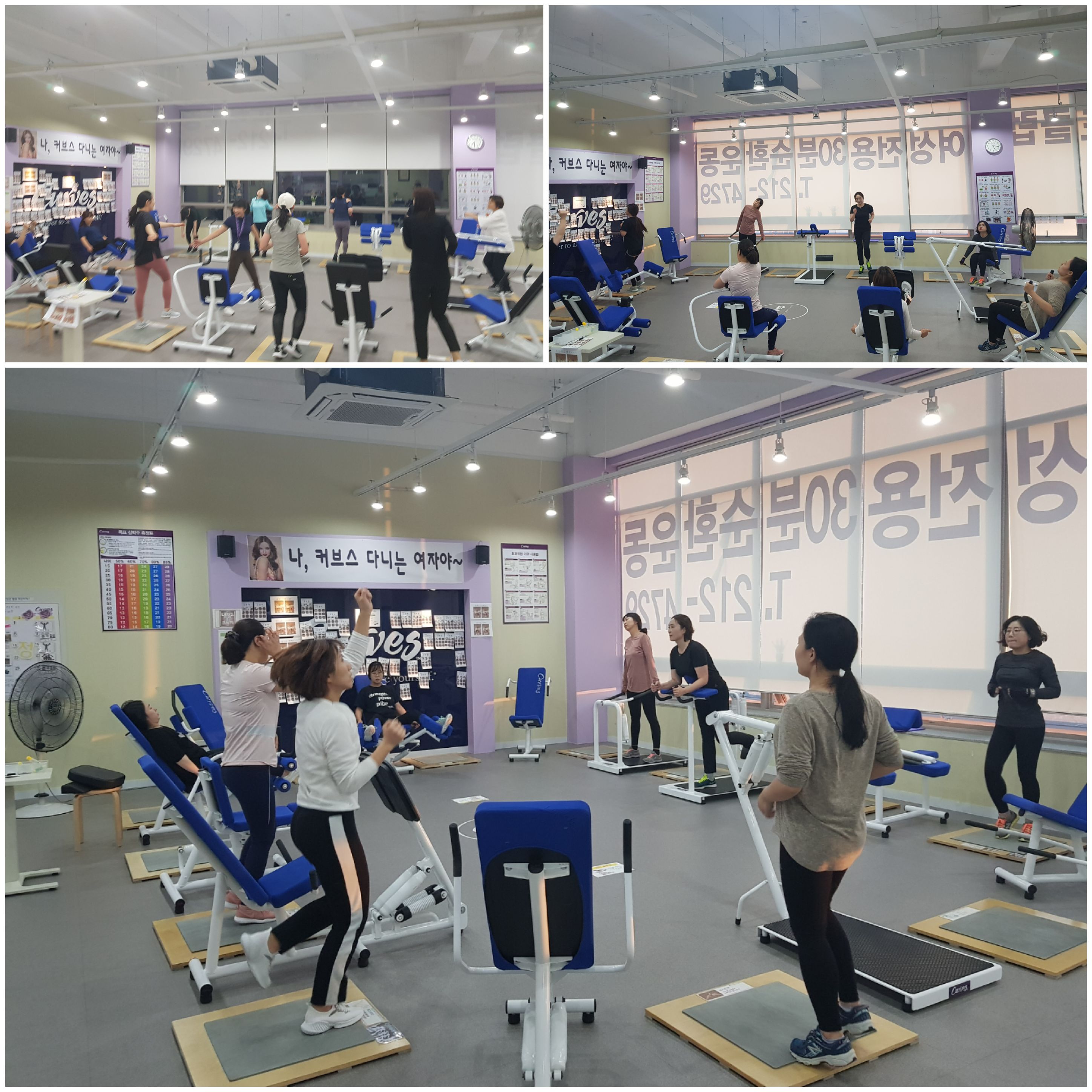 커브스 영종도클럽