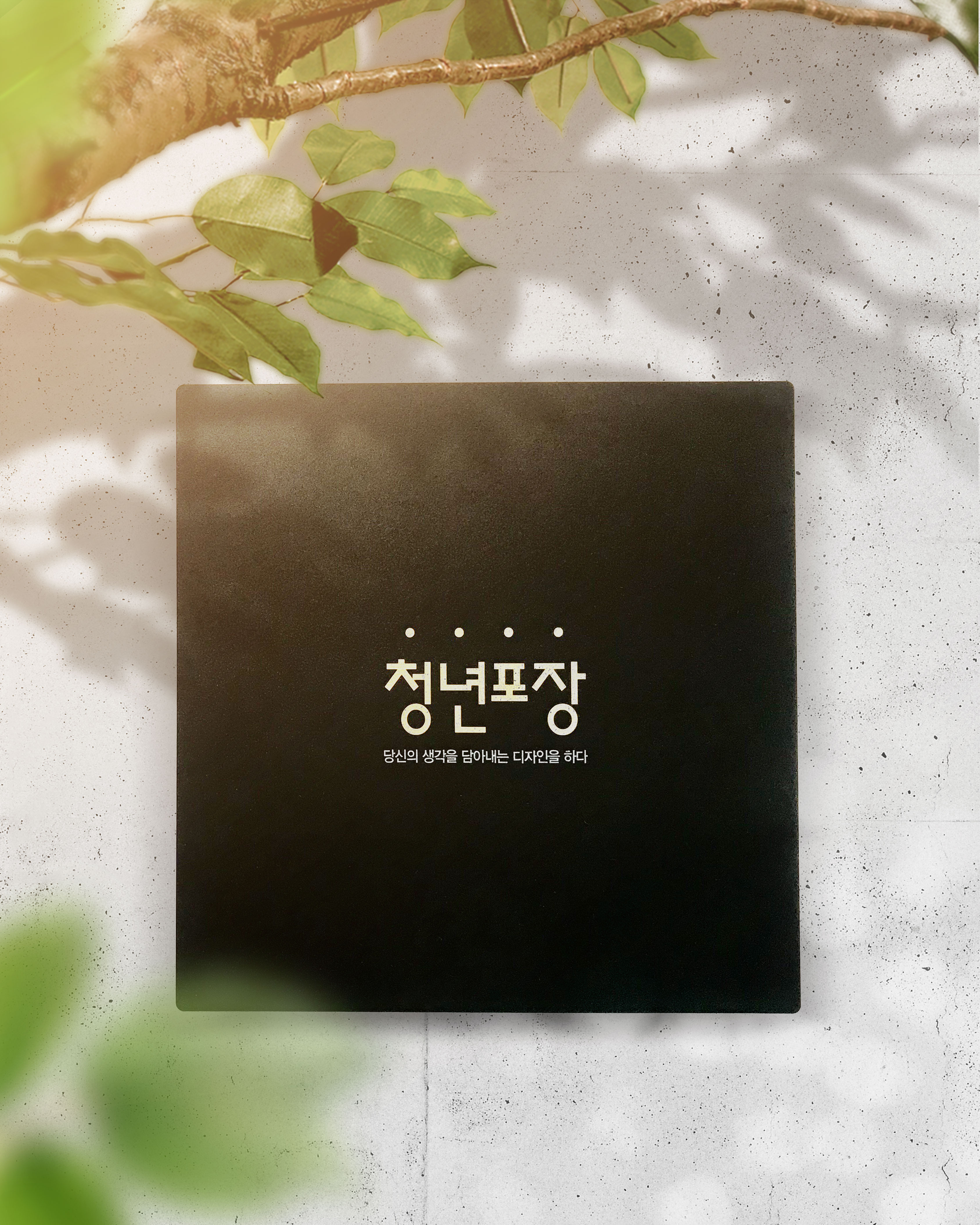 청년포장