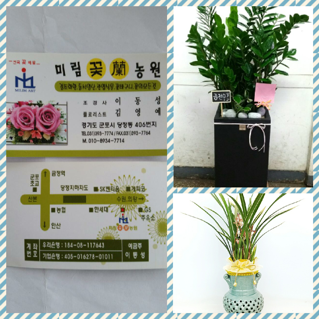 미림꽃농원