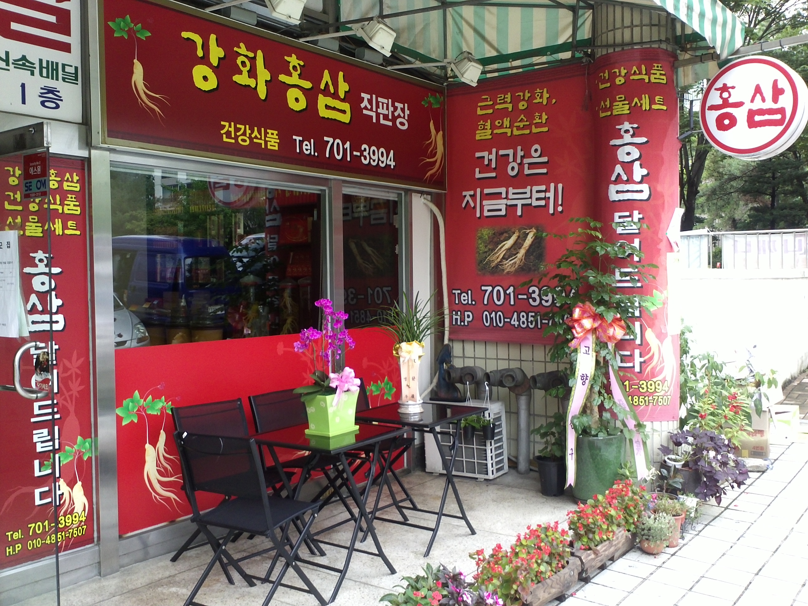 강화홍삼