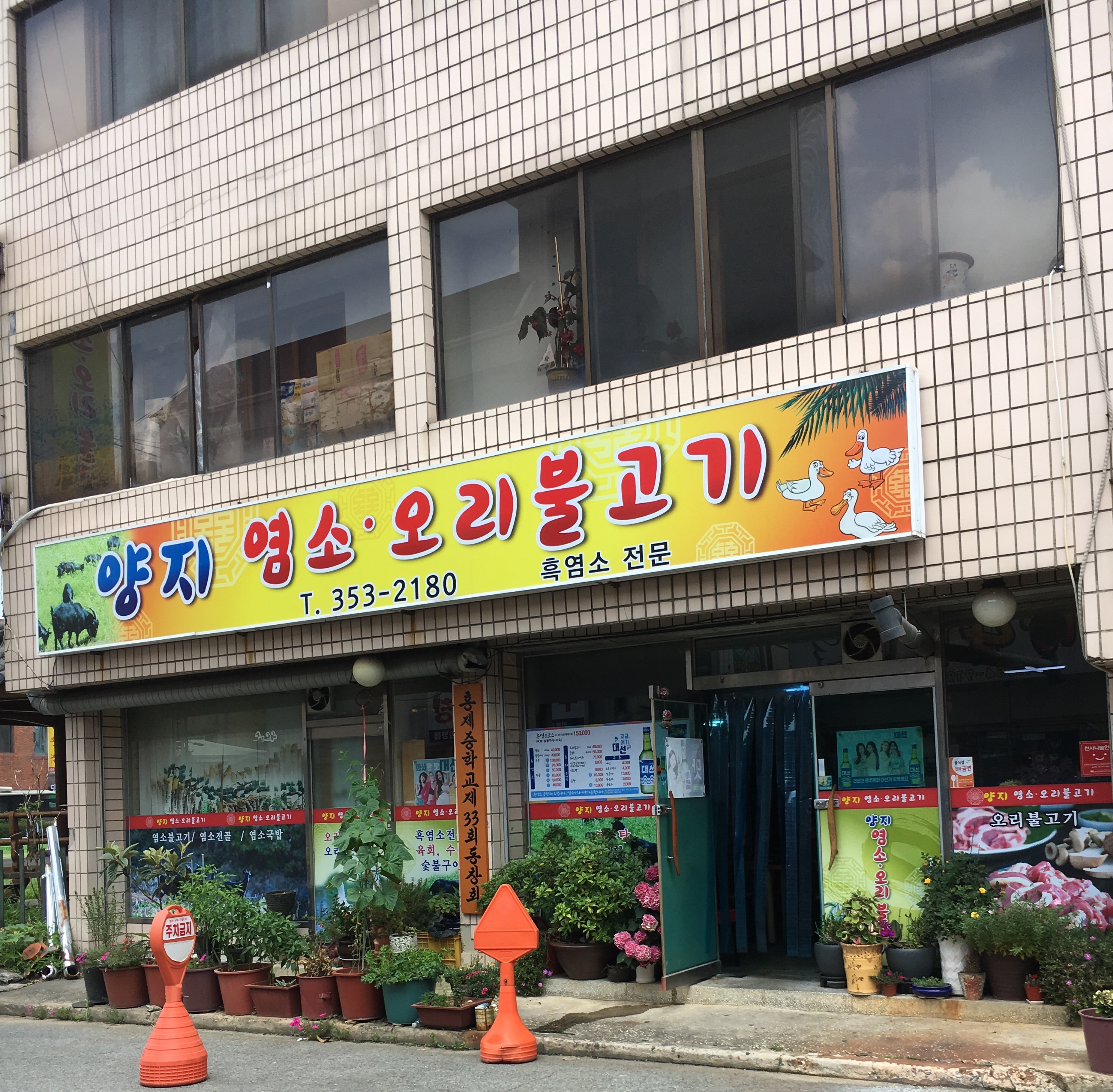 양지염소오리불고기