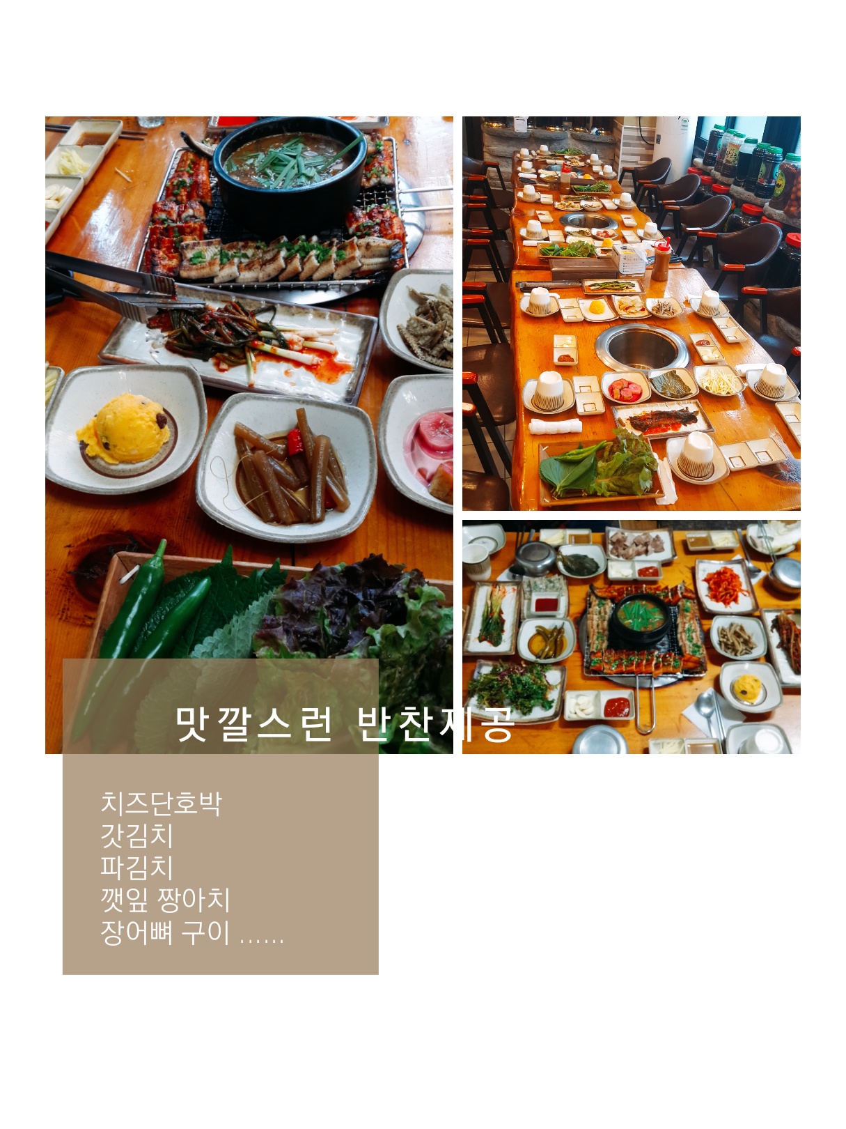 풍천장어