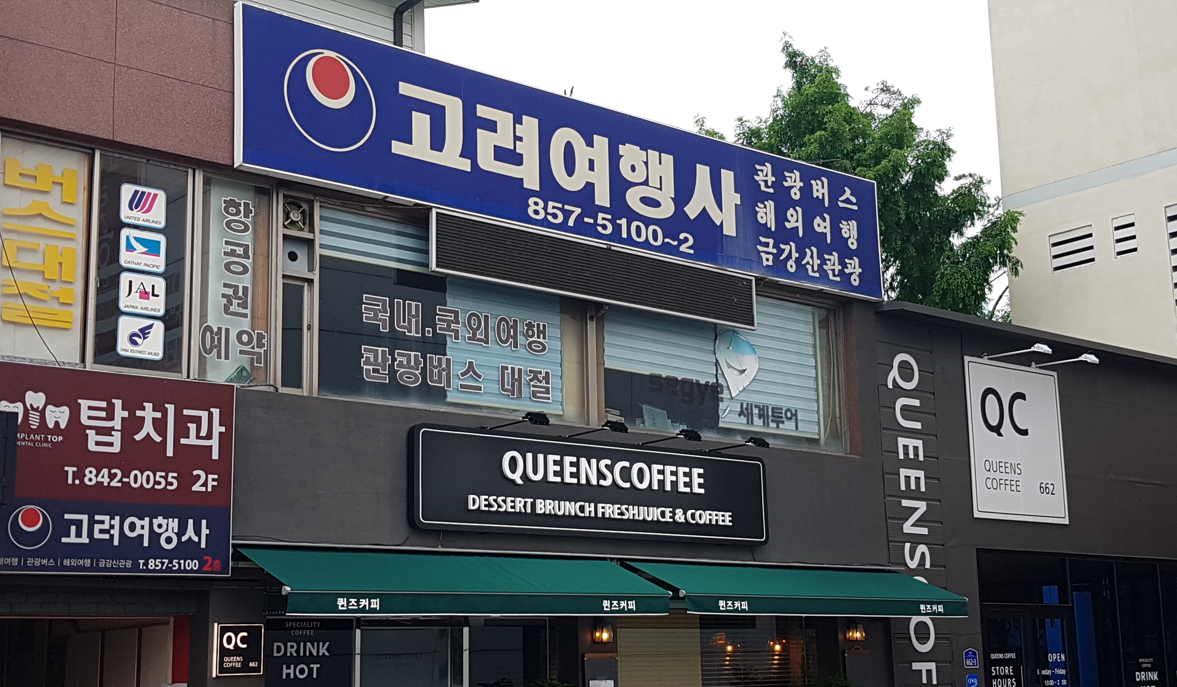 고려여행사 국내