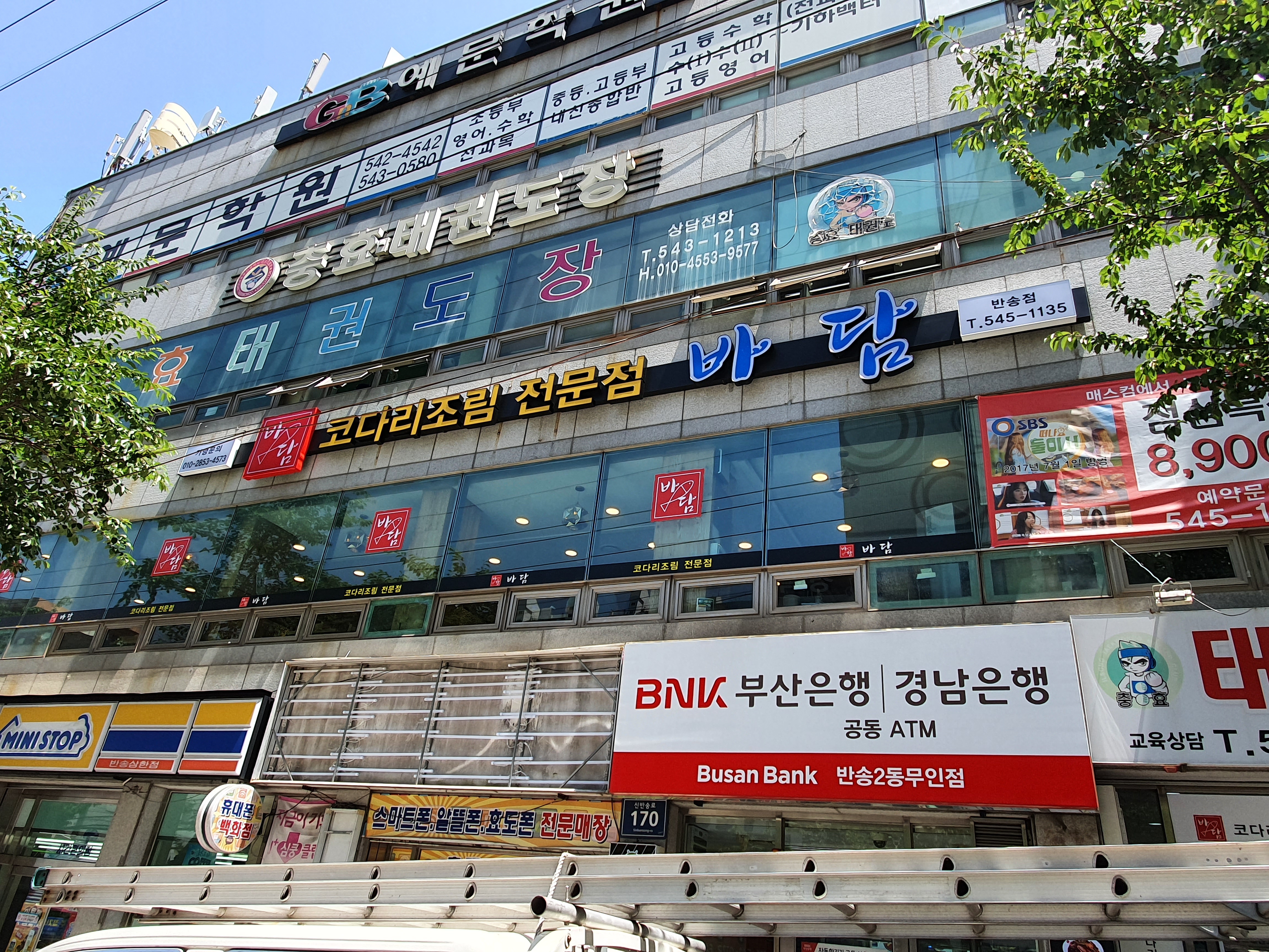 바담코다리 반송점