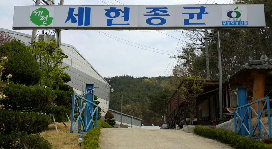세현종균
