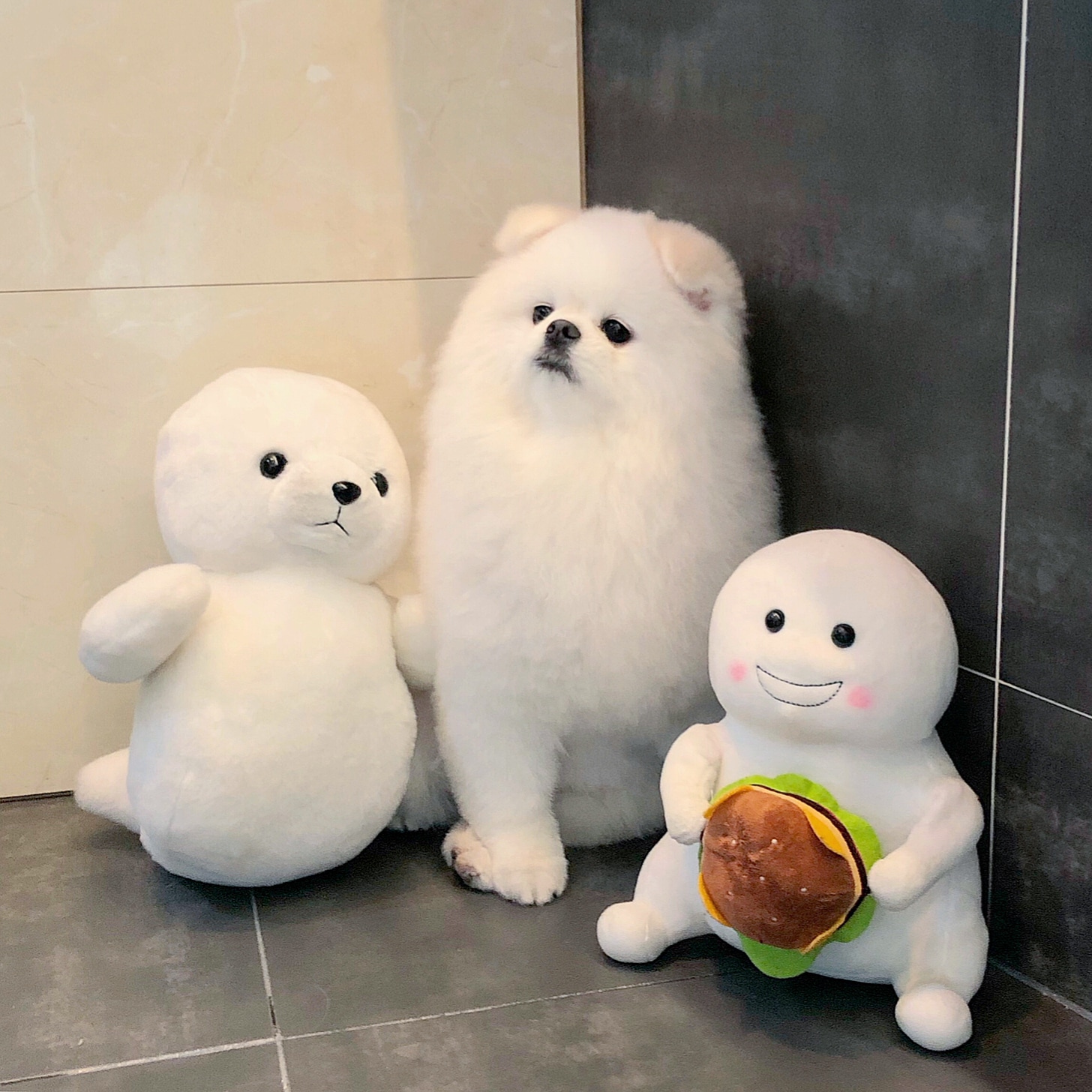 개스트하우스 3