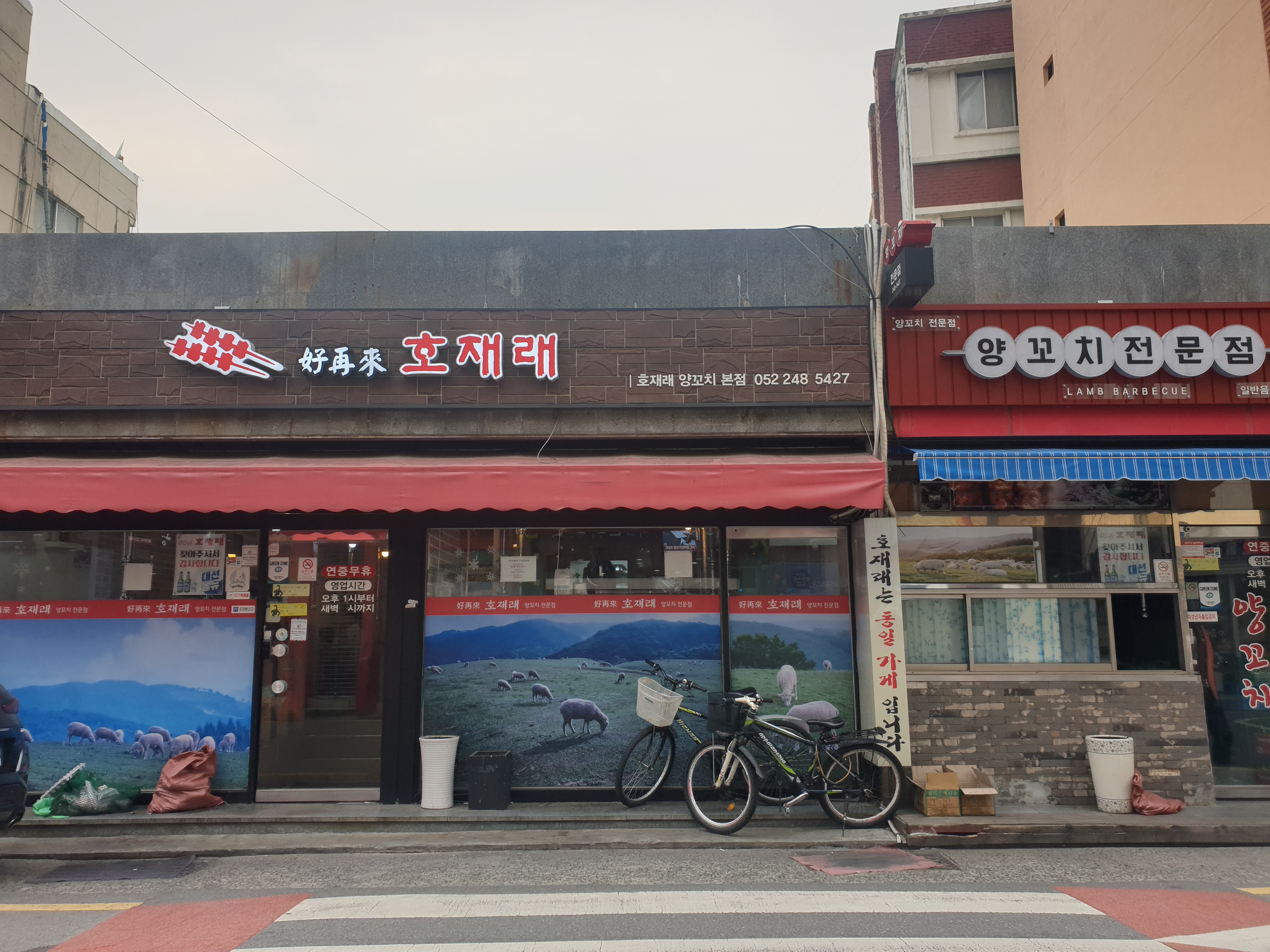 일래픽 이미지