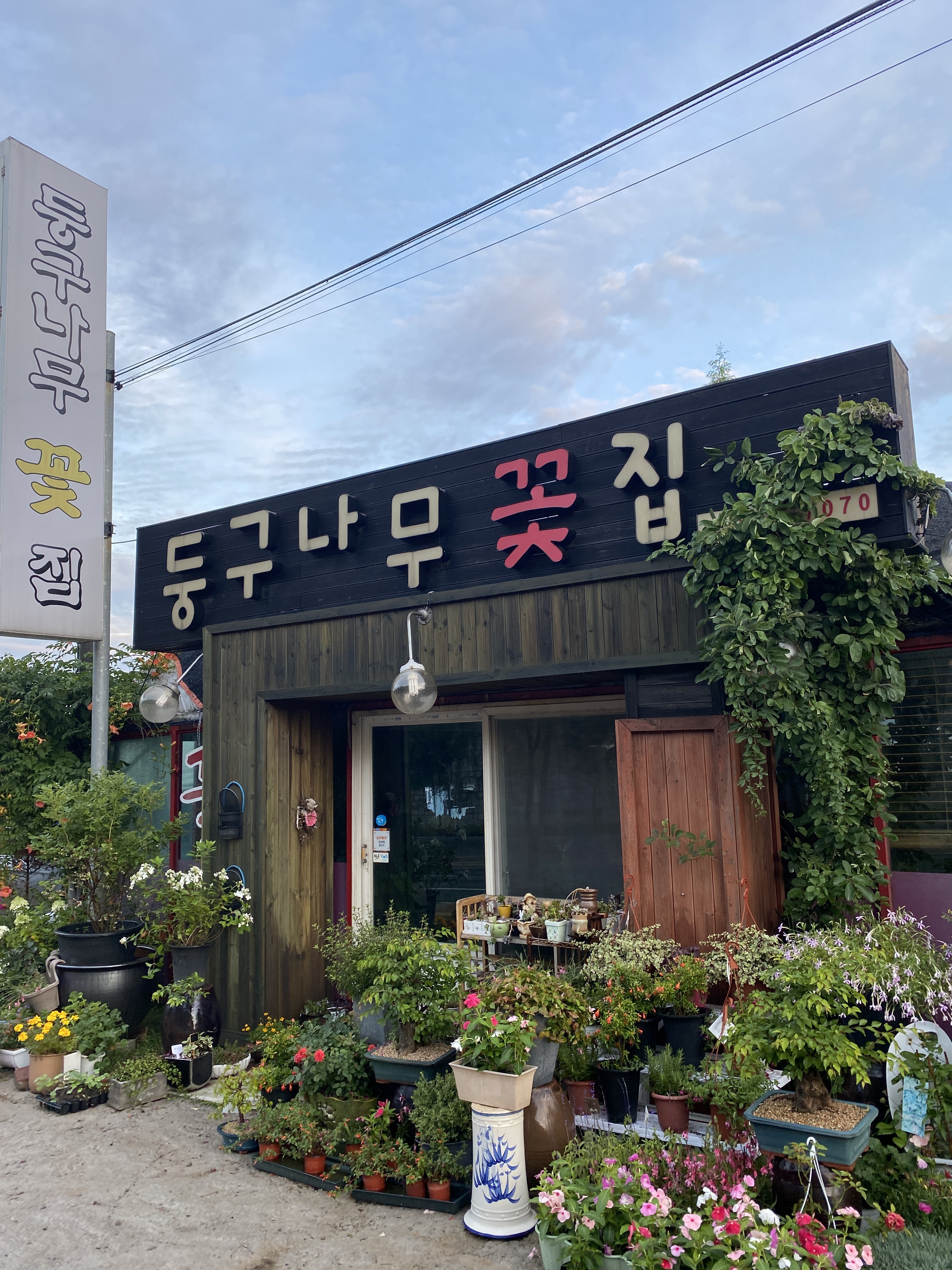 둥구나무꽃집