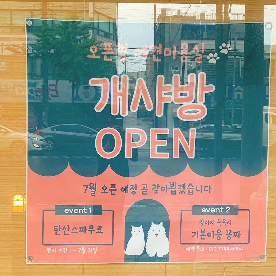 개샤방 대표 이미지