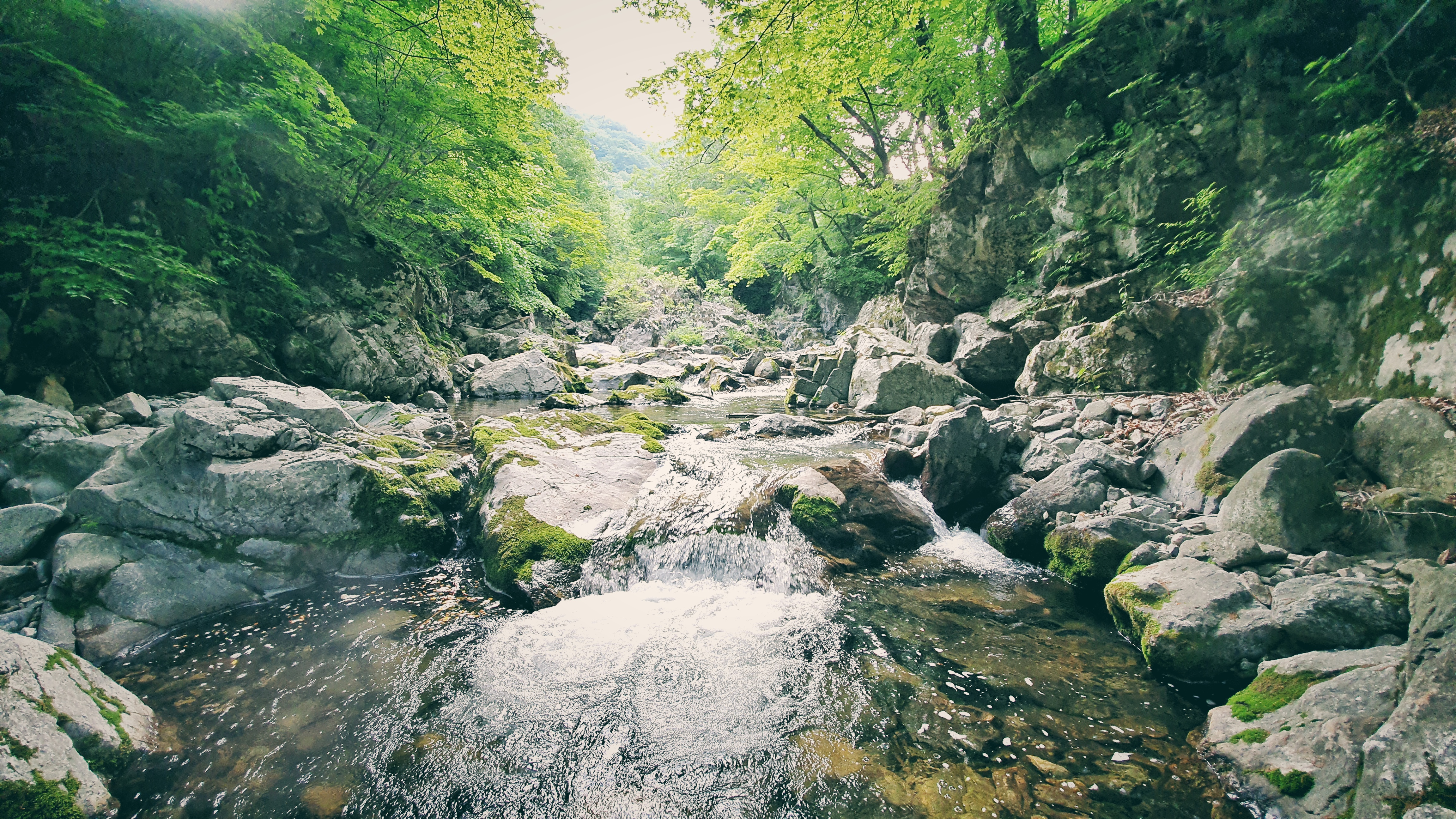 사진 3