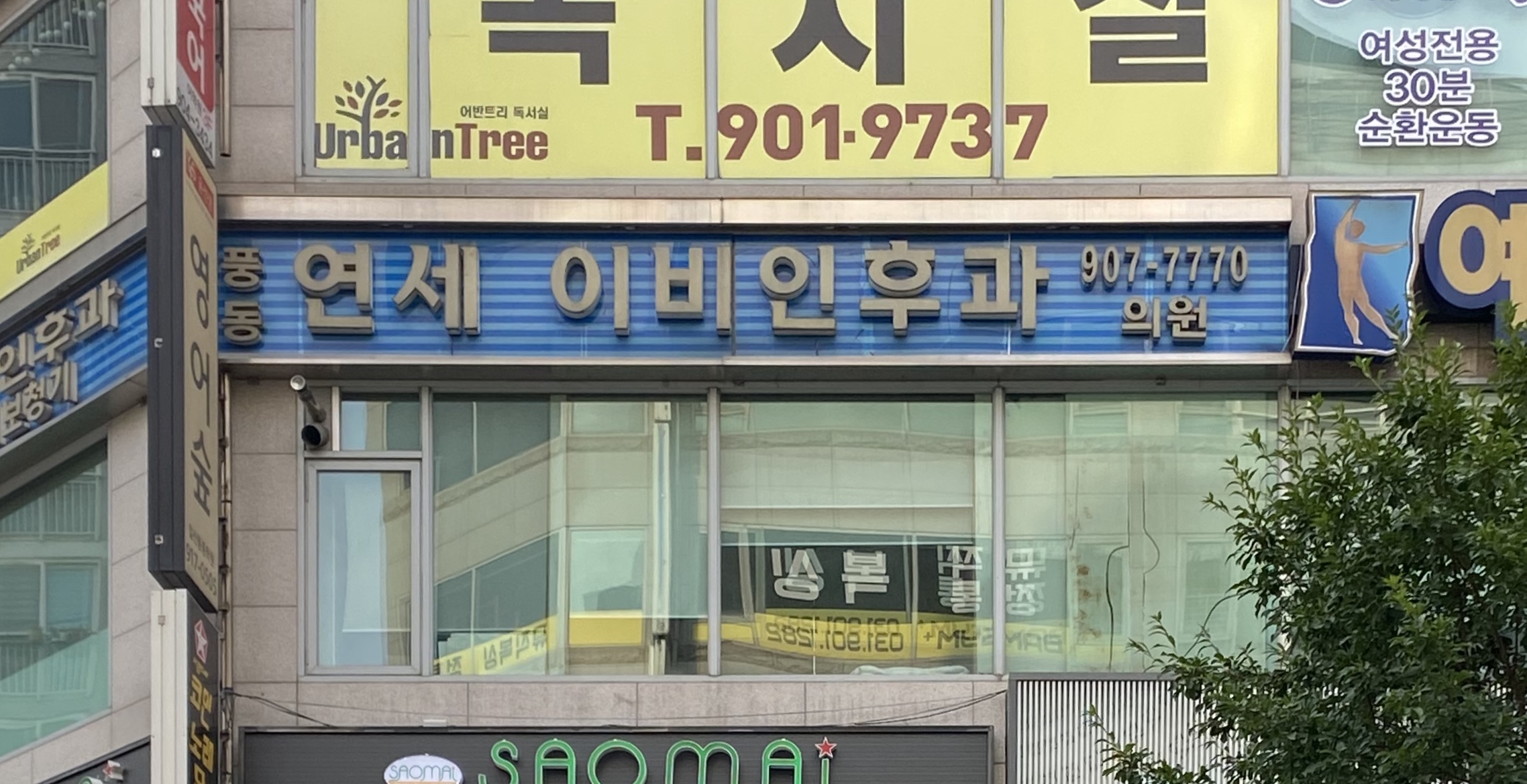 풍동연세이비인후과의원