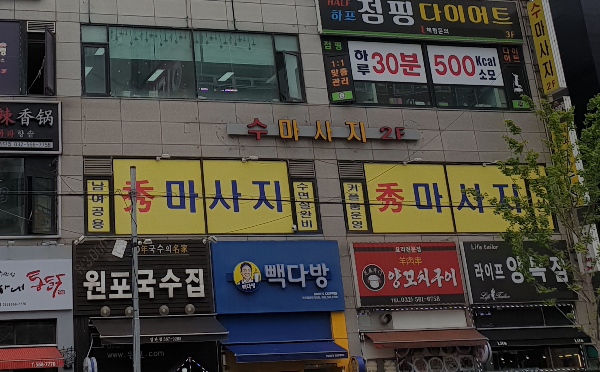 수마사지 photo 2