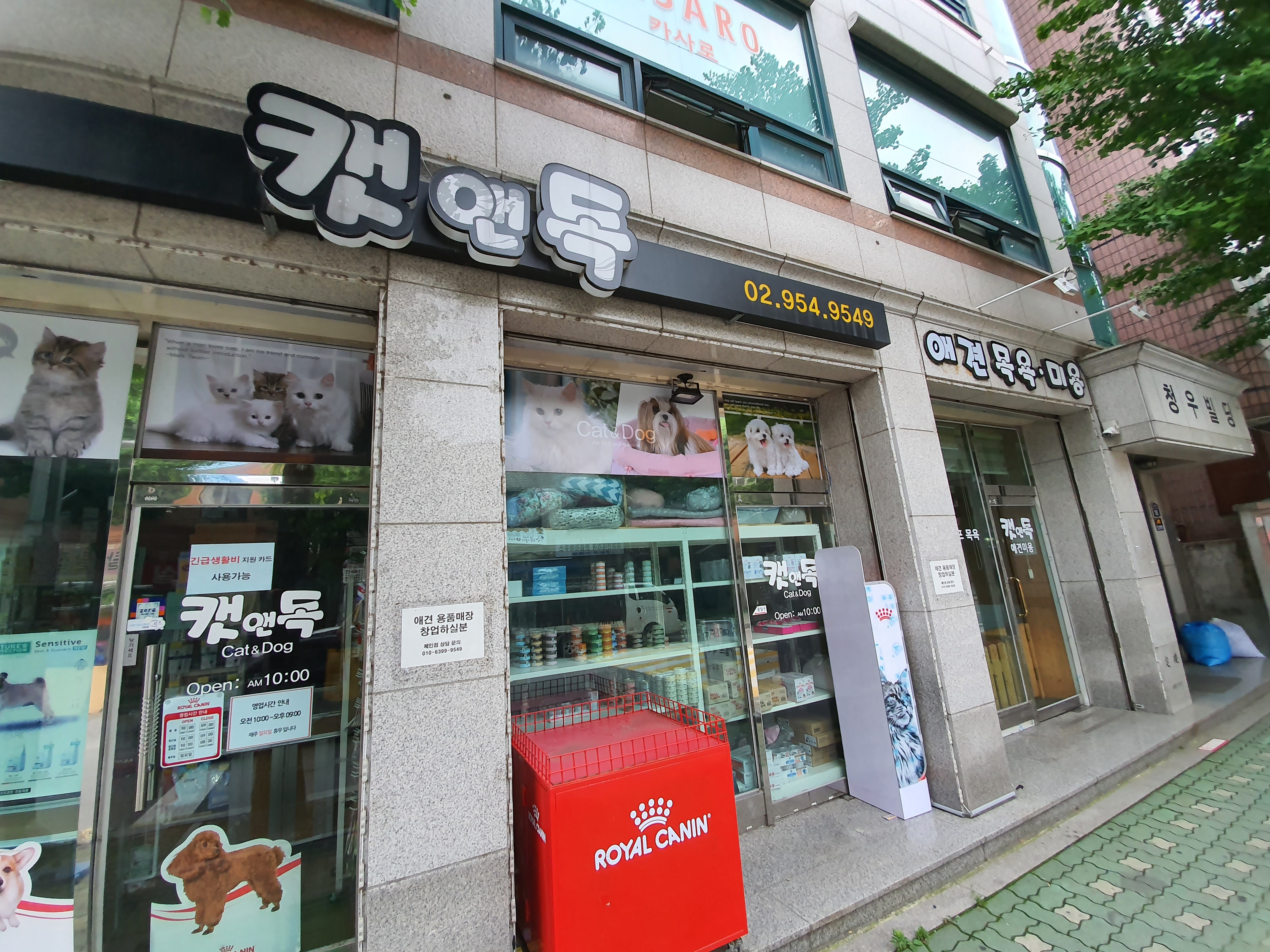 이미지