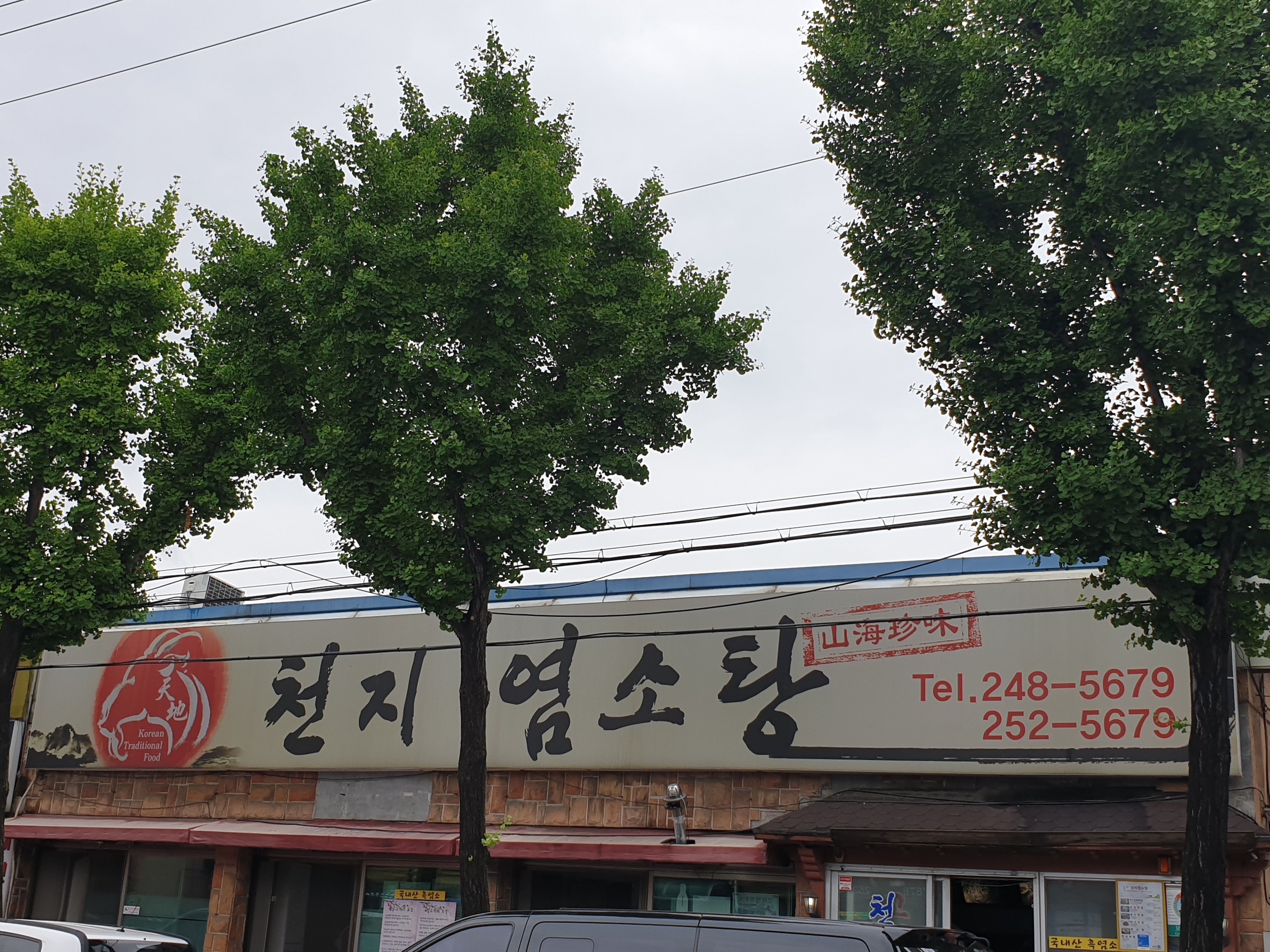 천지염소탕