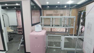 개샤방 대표 이미지