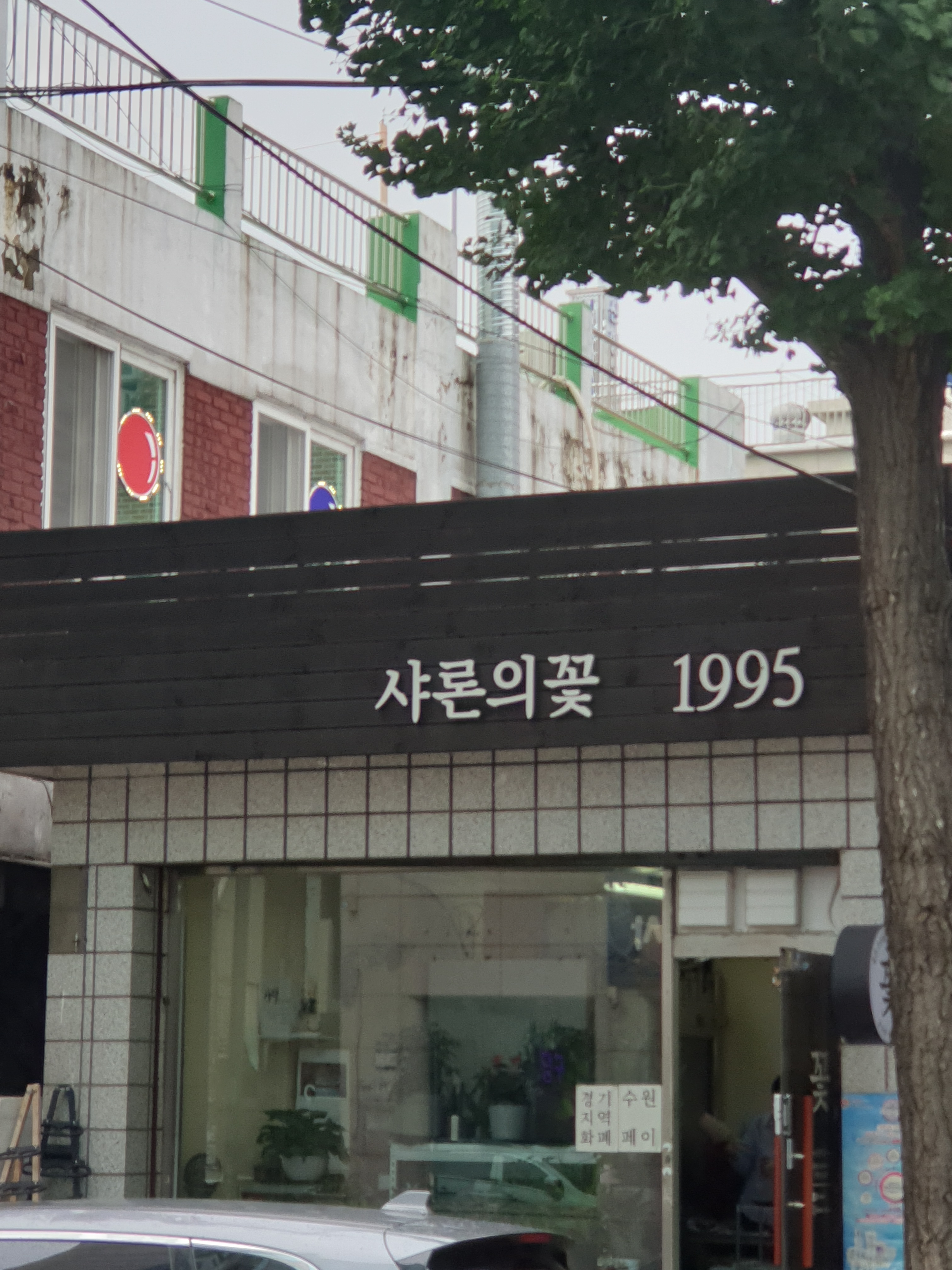 샤론의꽃
