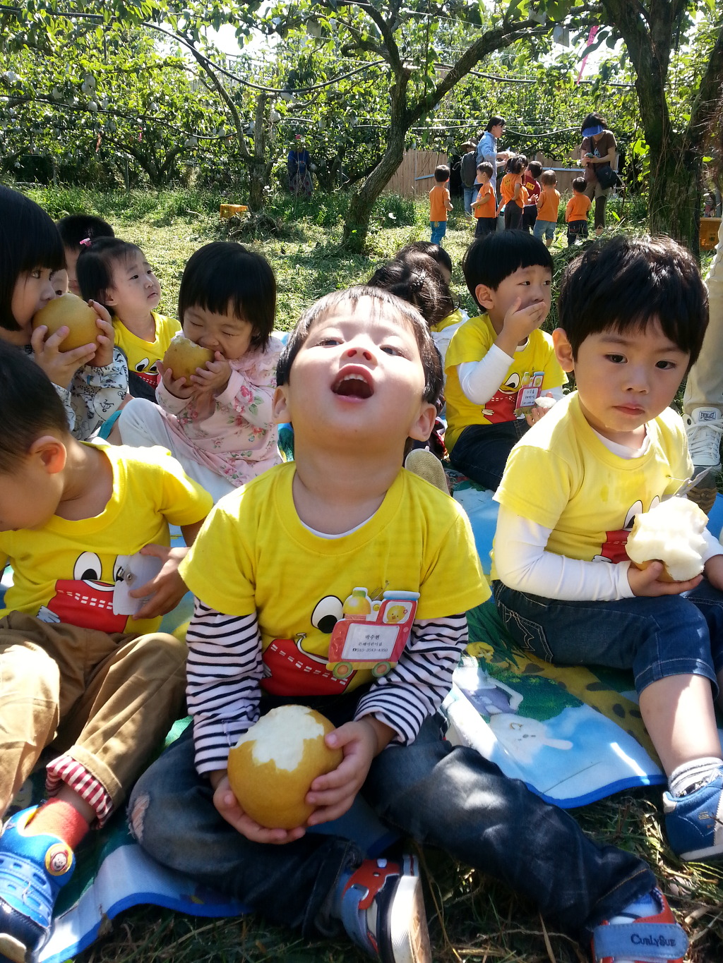 한옥배나무집민박