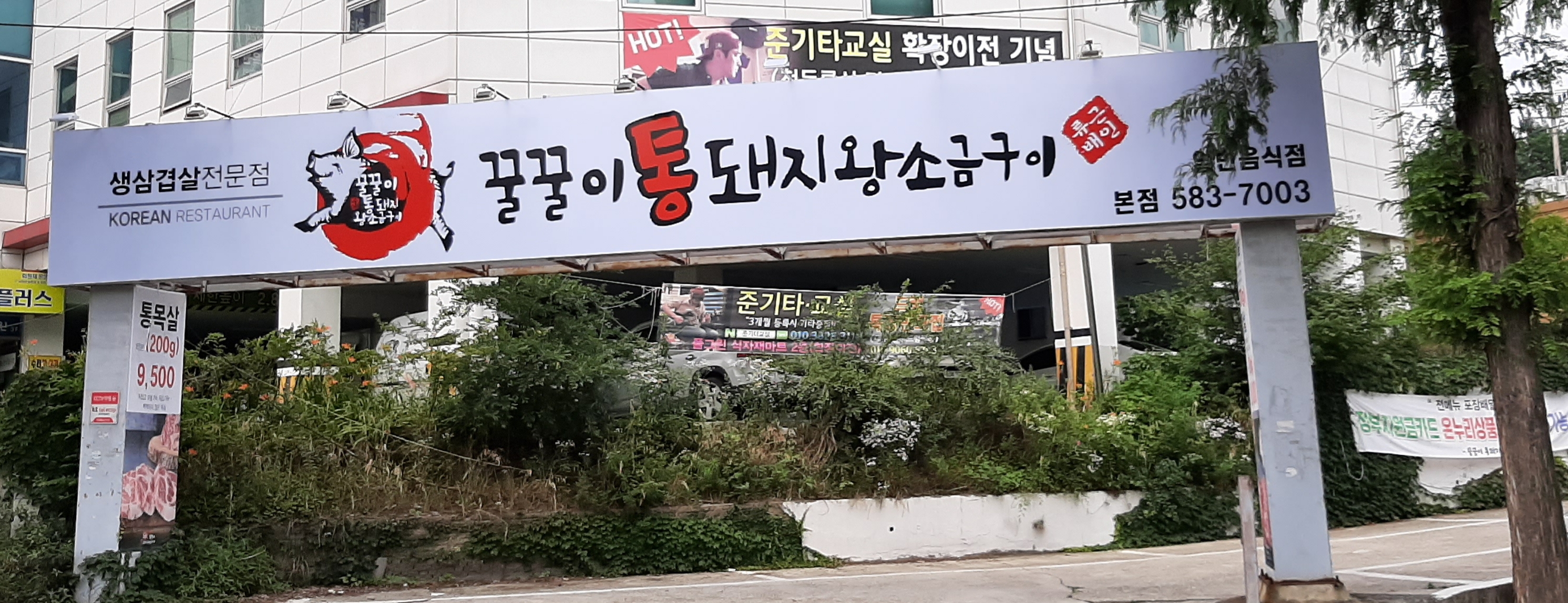 꿀꿀이통돼지왕소금구이 본점