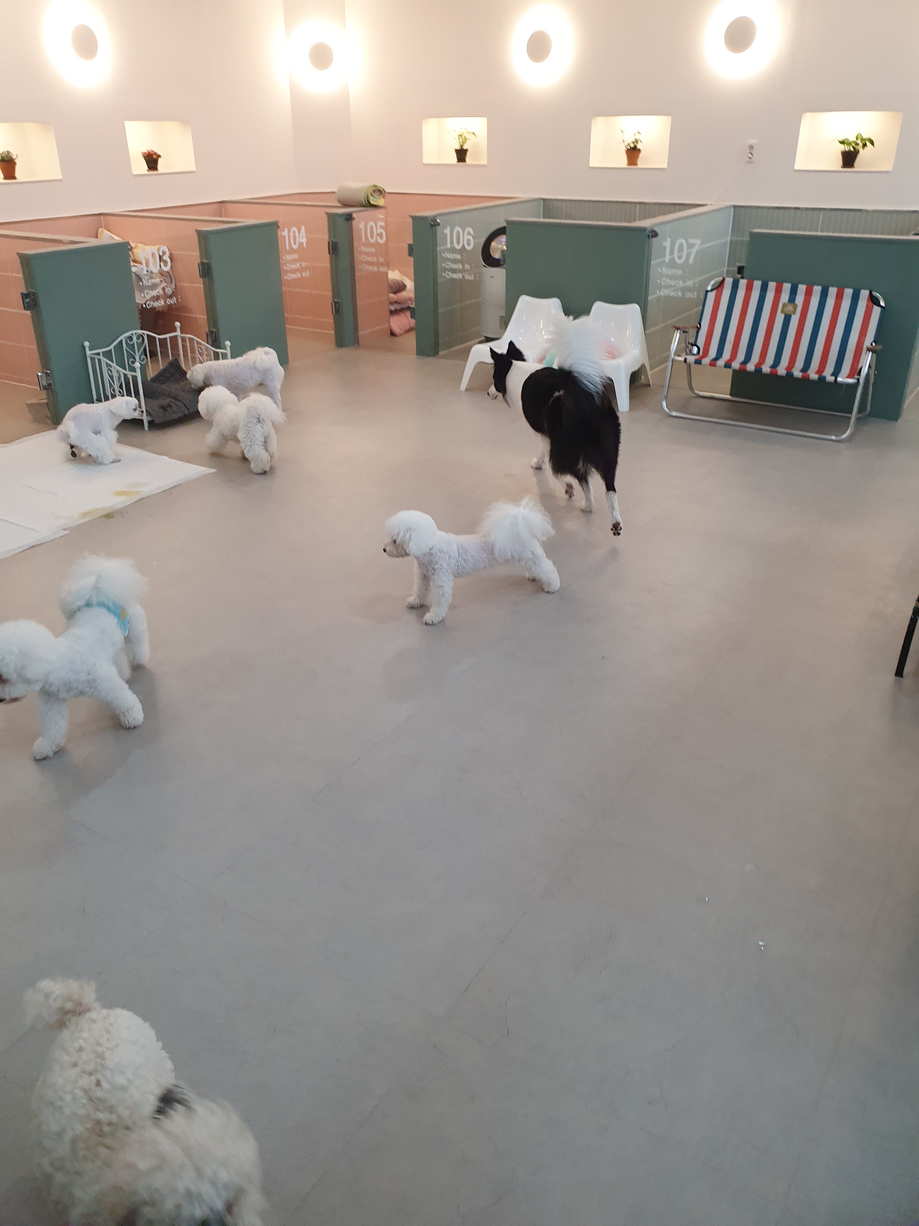 그루밍나나 대표 이미지