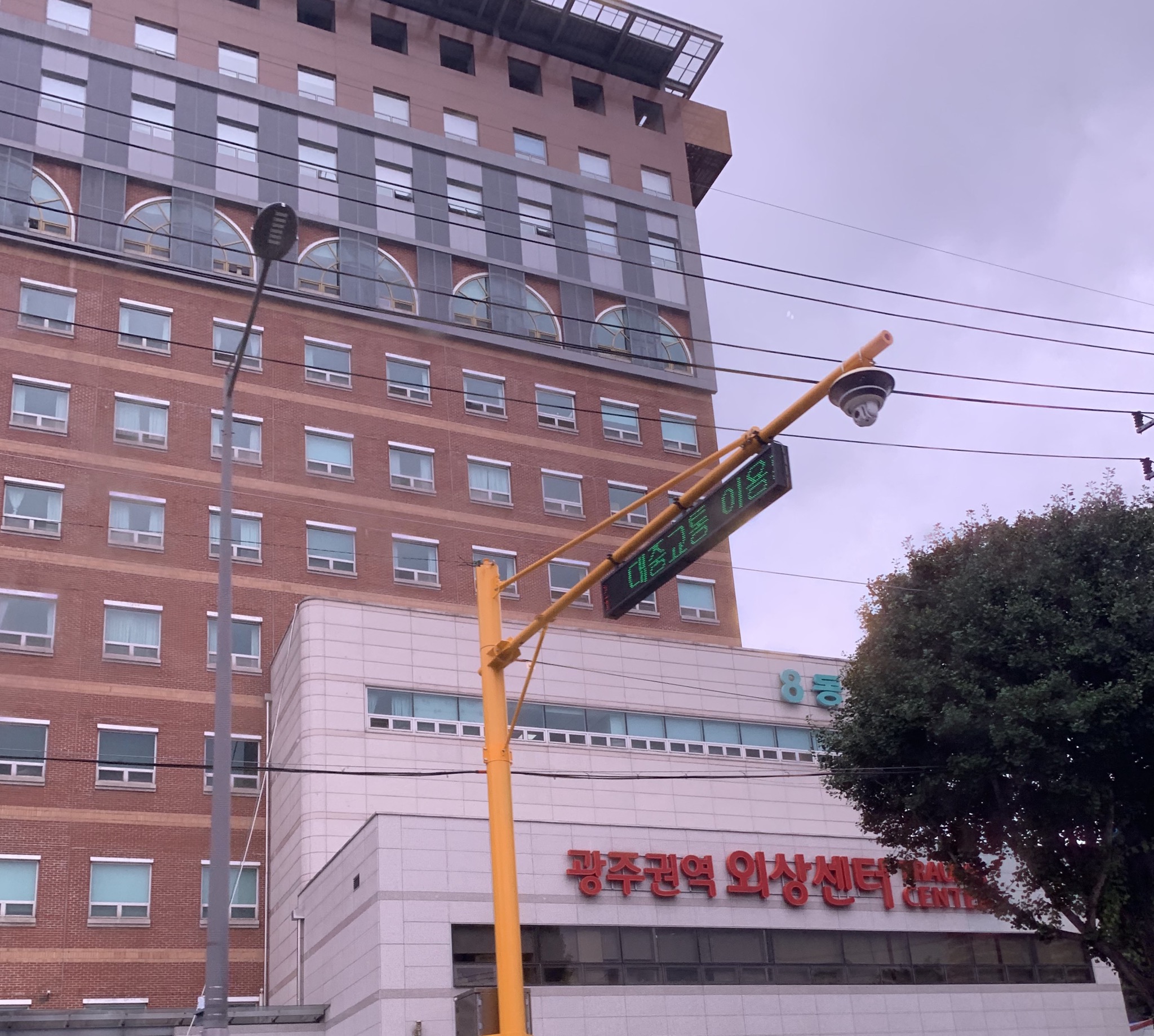 전남대학교병원 이미지